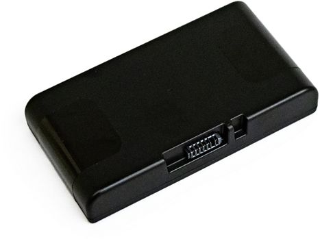 BOSE S1 PRO+ Acessory Battery