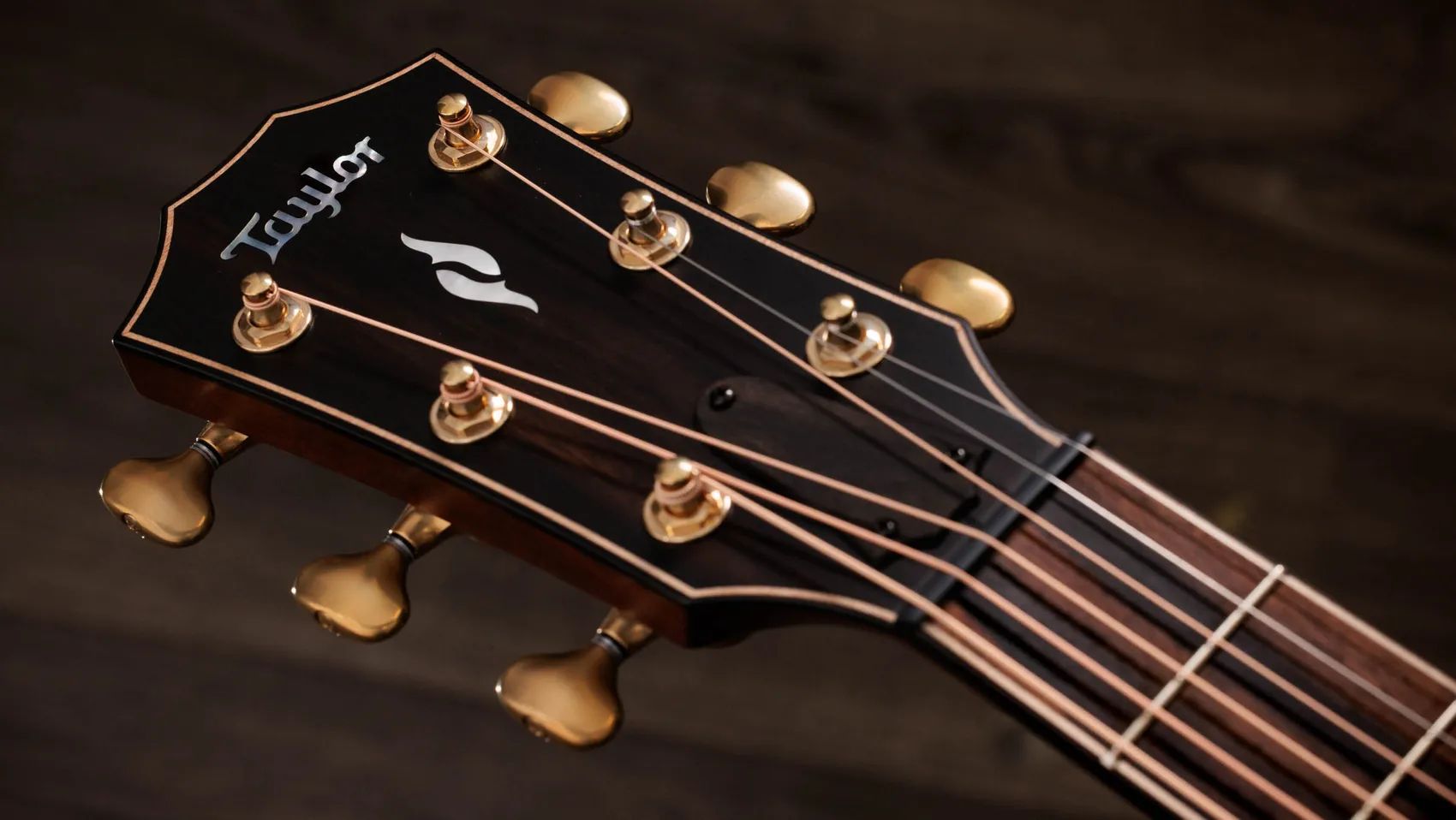 Taylor 814ce Builder's Edition Next Generation Grand Auditorium Fichte/Rosewood – Bild 9