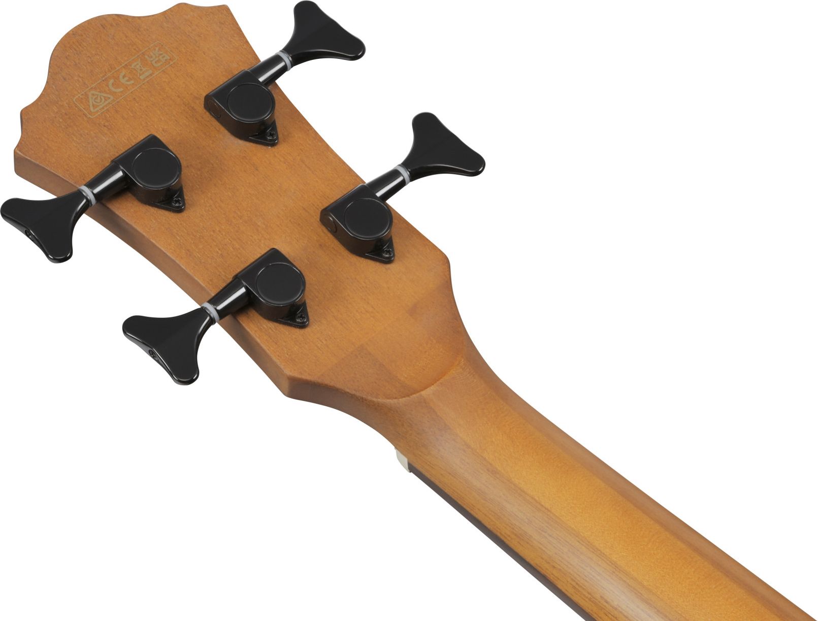 Ibanez AEGB25E-TKH