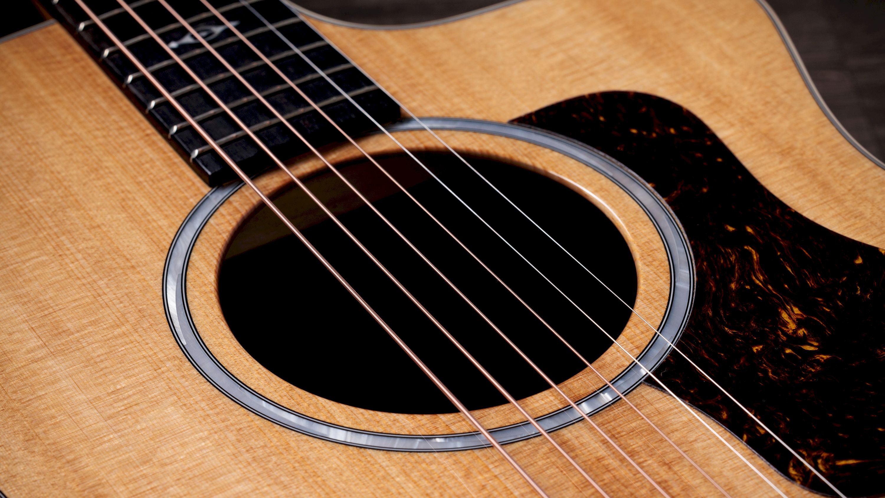 Taylor 214ce K DLX – Bild 3
