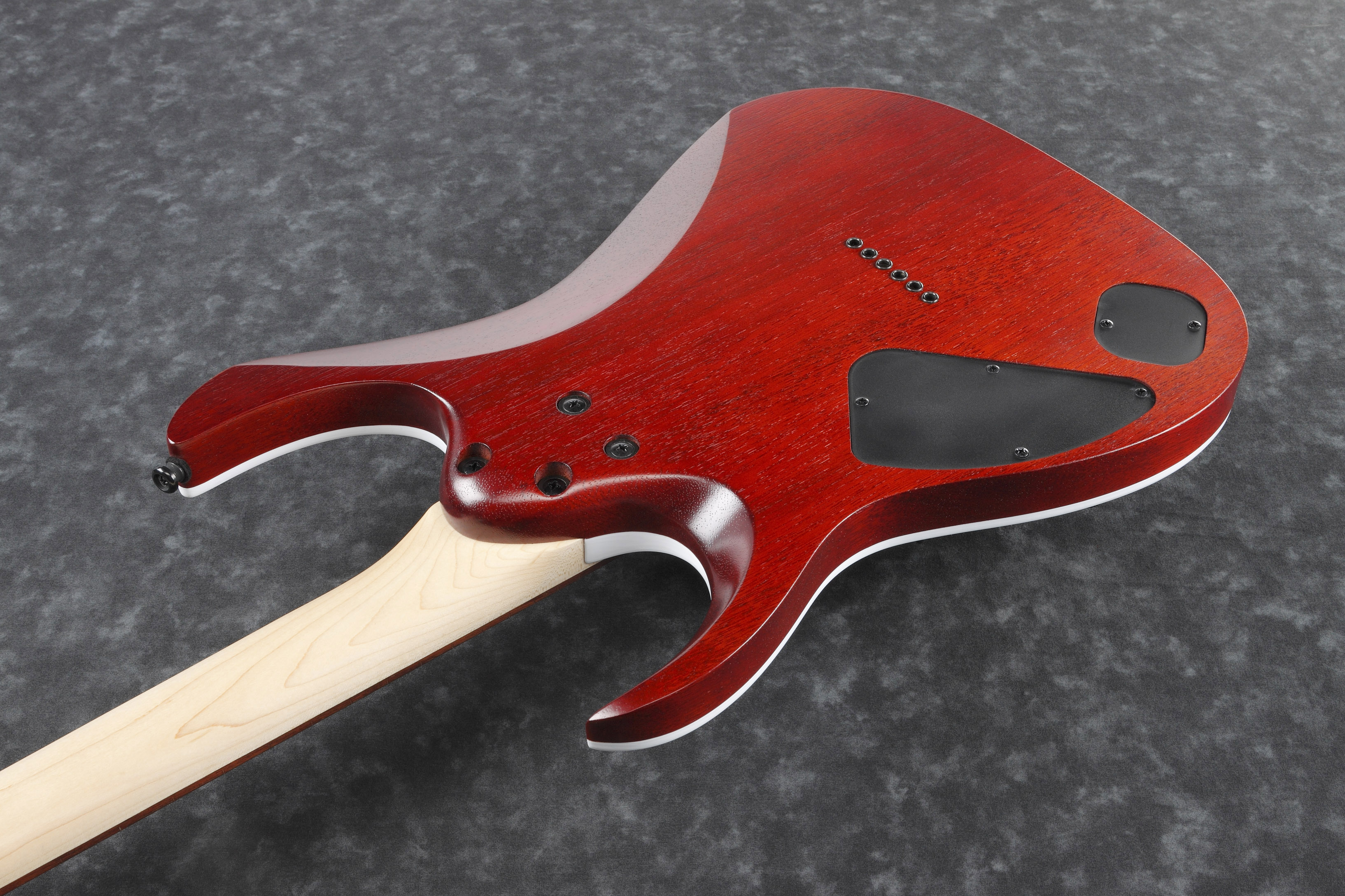 Ibanez RGA 42 FM Transparent Grey Flat – Bild 3