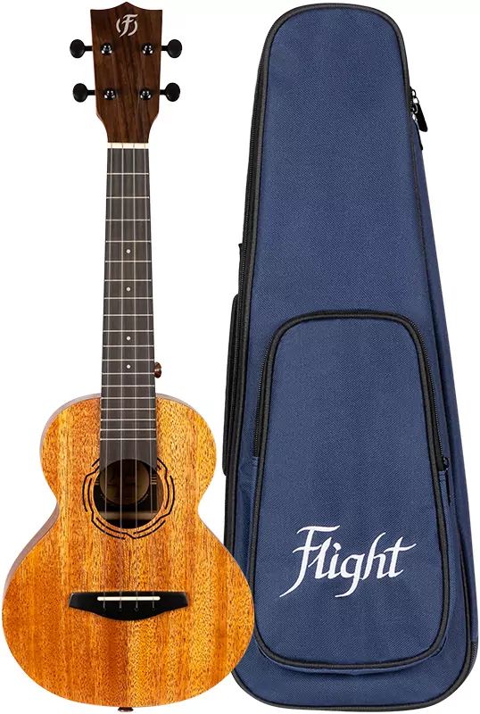 Flight NUC 500 Concert