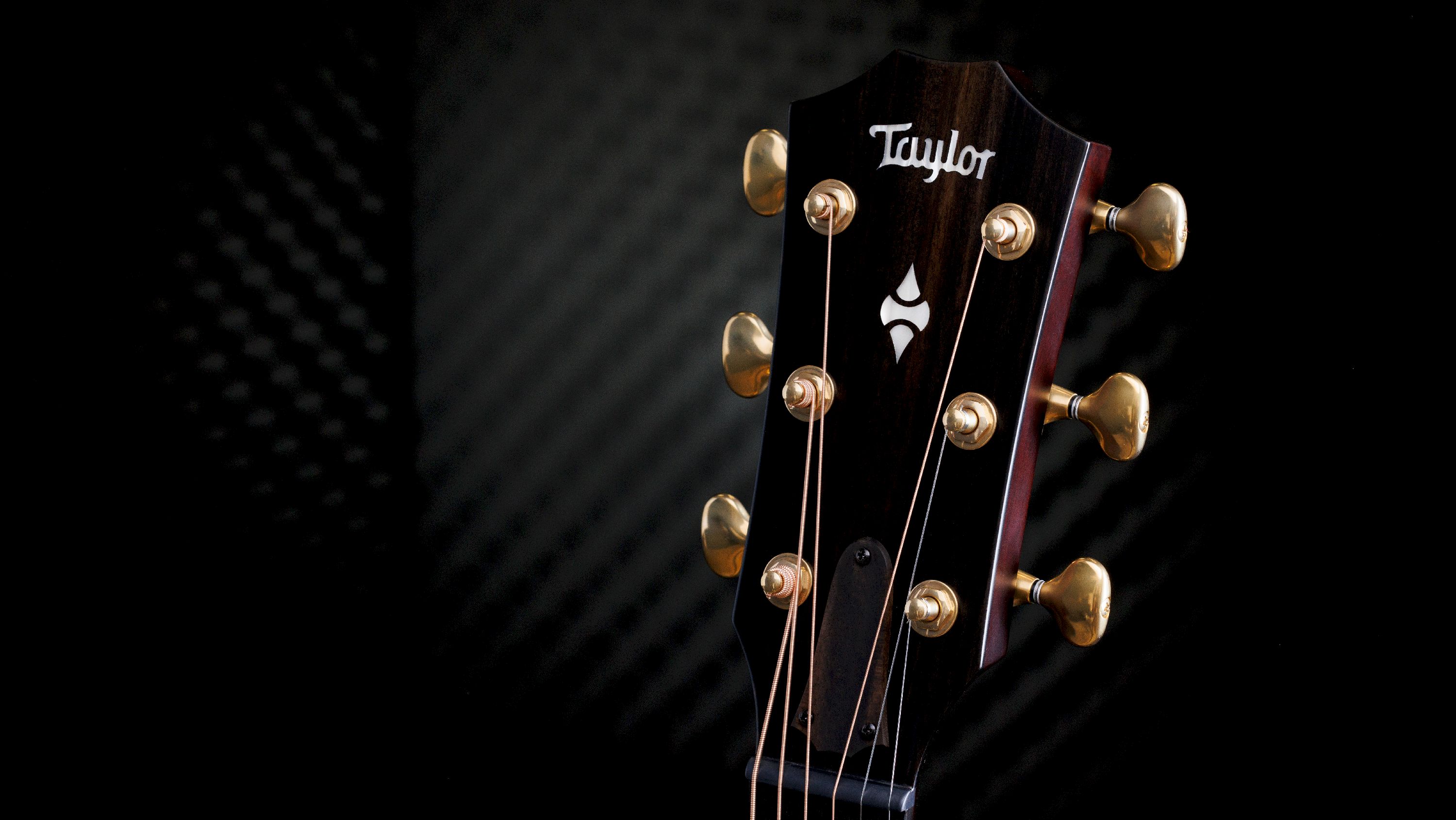 Taylor 314ce Builder's Edition LTD Kona Burst – Bild 7
