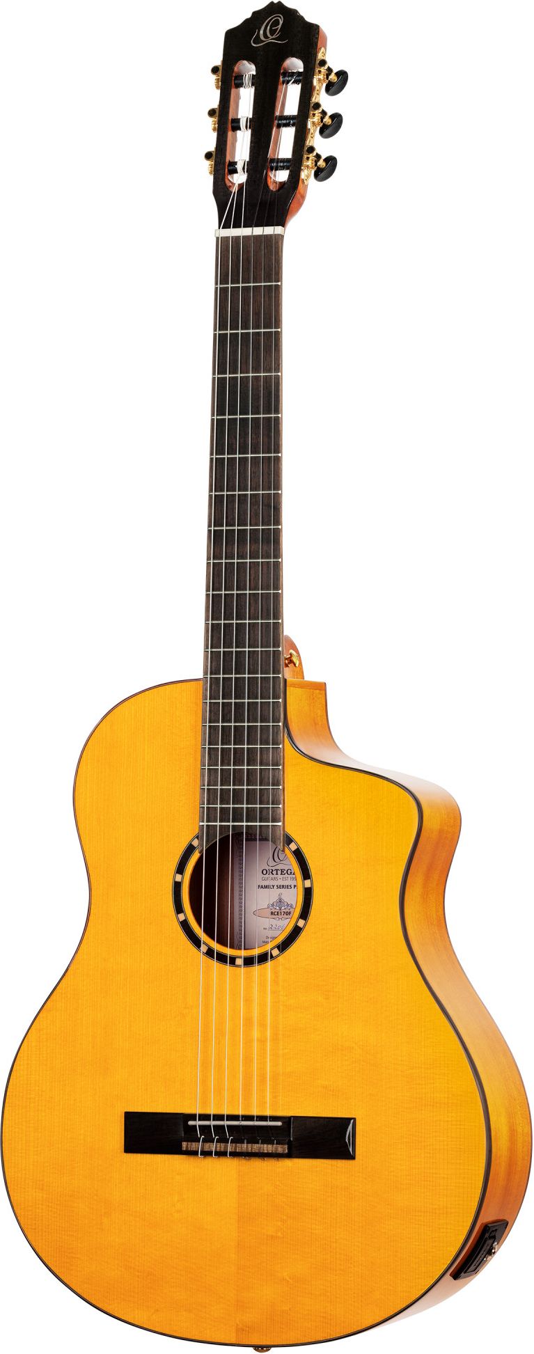 Ortega RCE 170 F