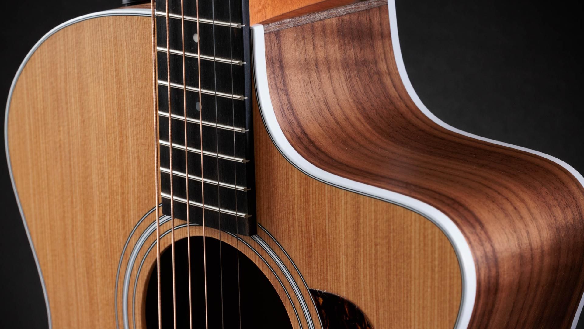 Taylor 214ce Grand Auditorium – Bild 4