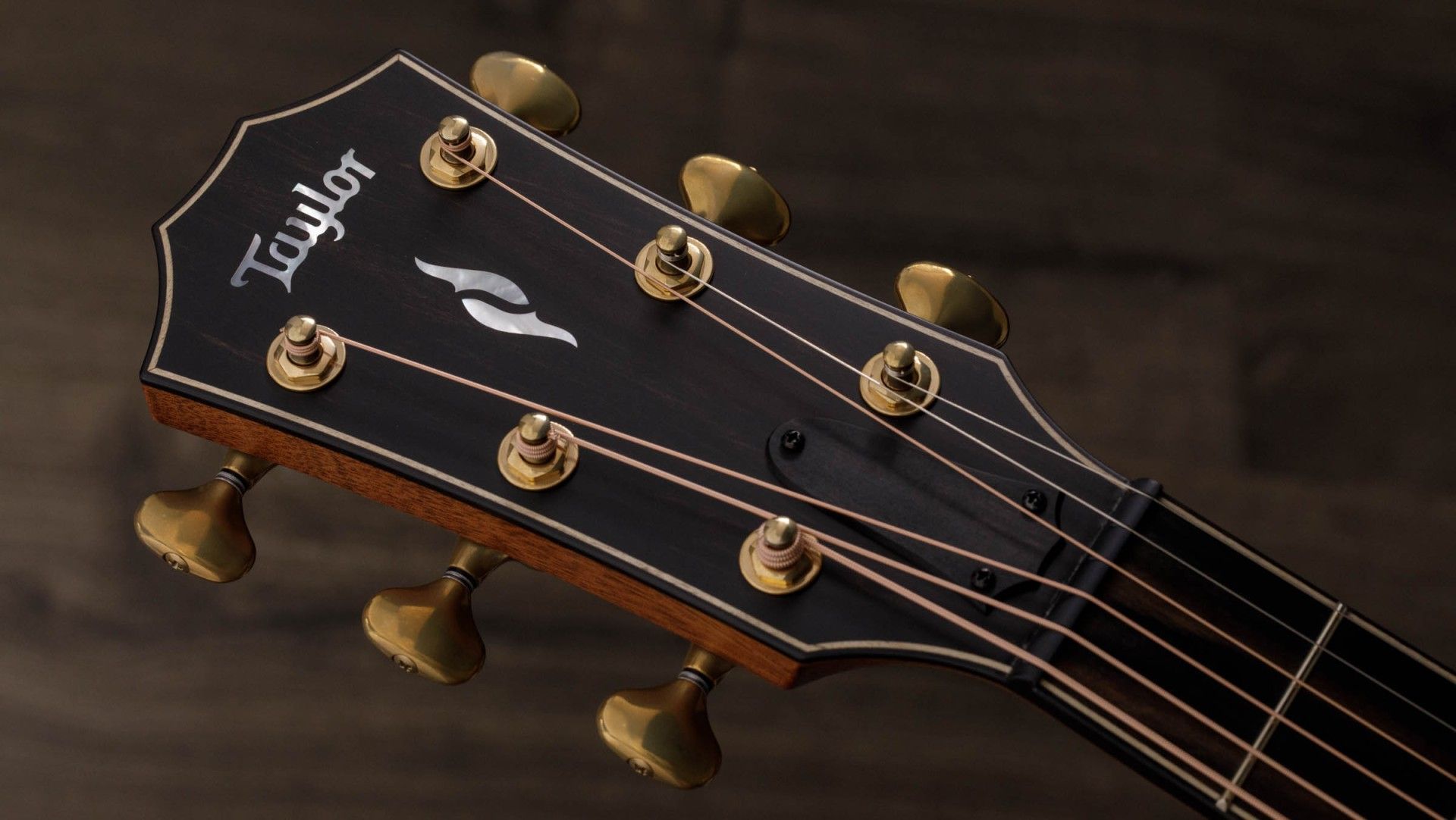 Taylor 814ce Builder's Edition Taylor 814ce Builder's Edition