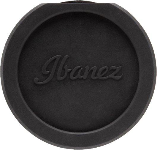 Ibanez Feedback Eliminator Ibanez Feedback Eliminator