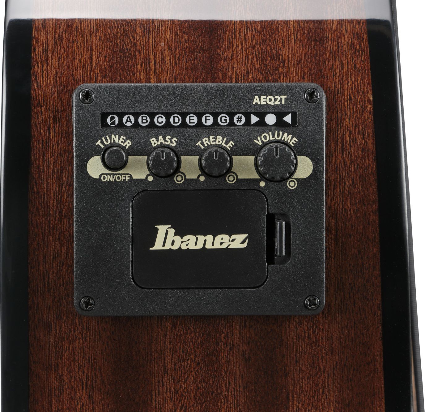 Ibanez AEGB25E-TKH