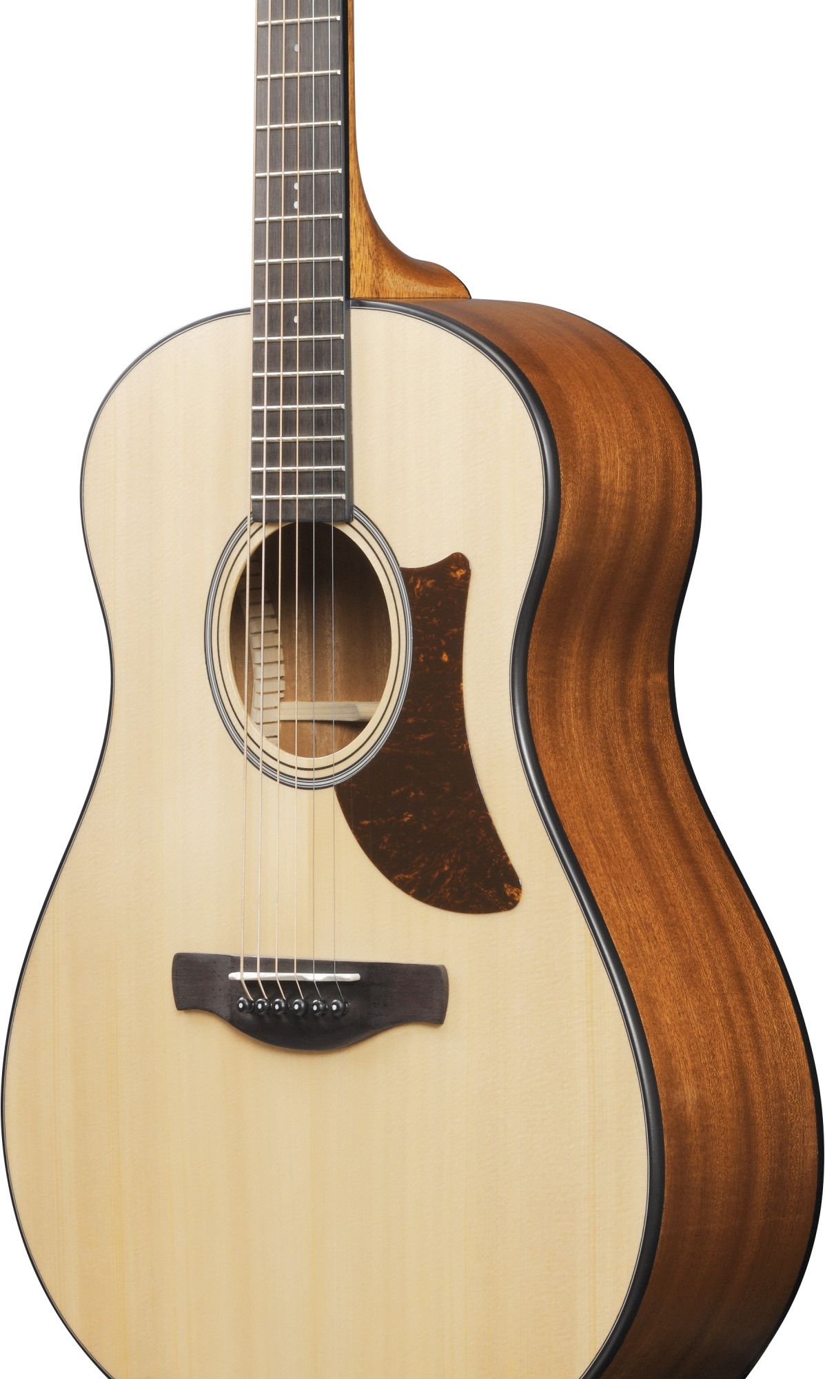 Ibanez AAM50-OPN