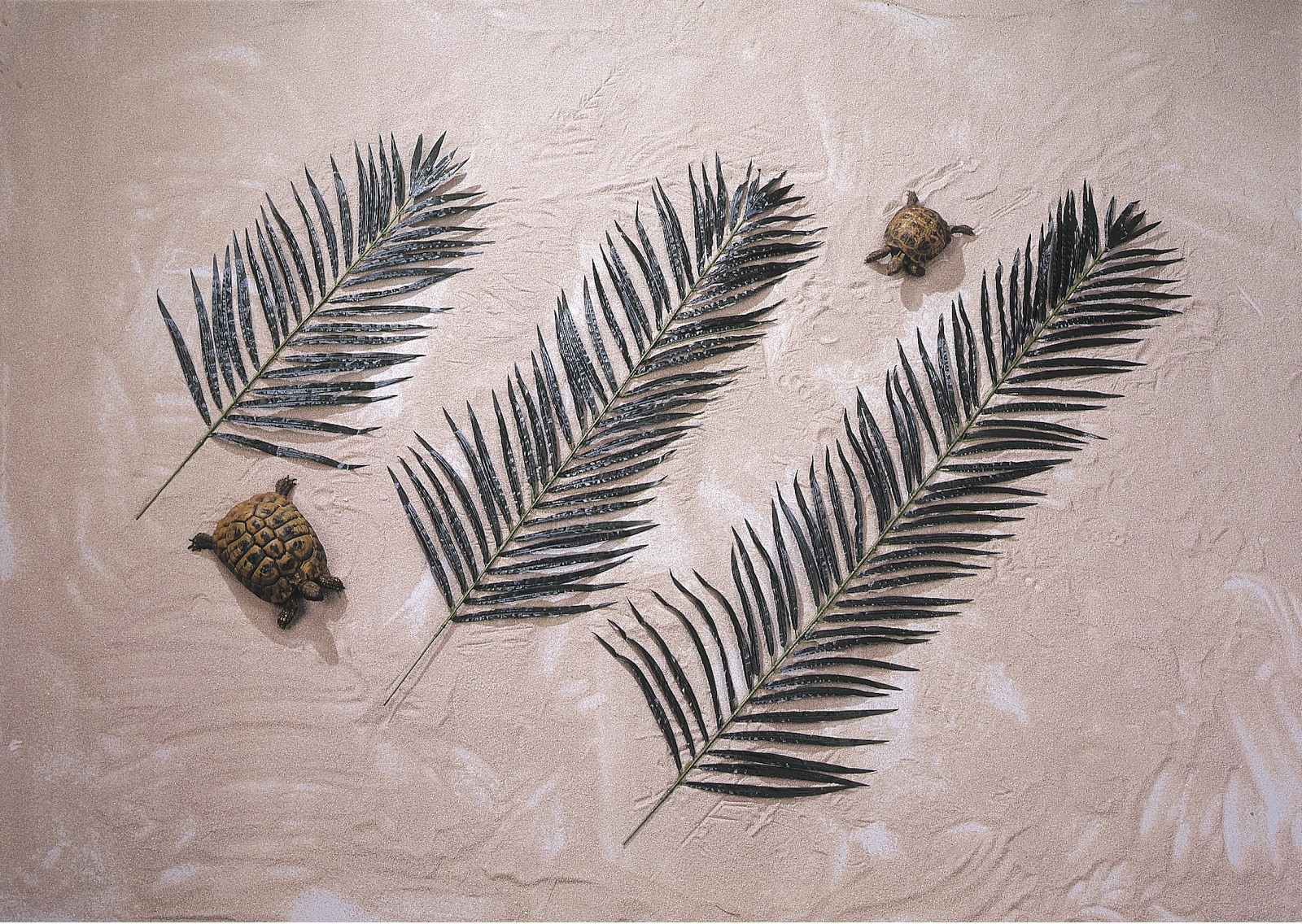 Europalms Kokos-Palmwedel, künstlich, 90cm 12x