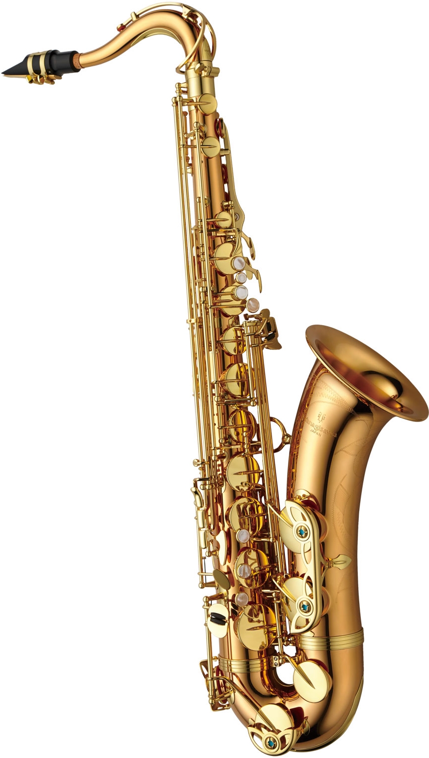 Yanagisawa T-WO2 