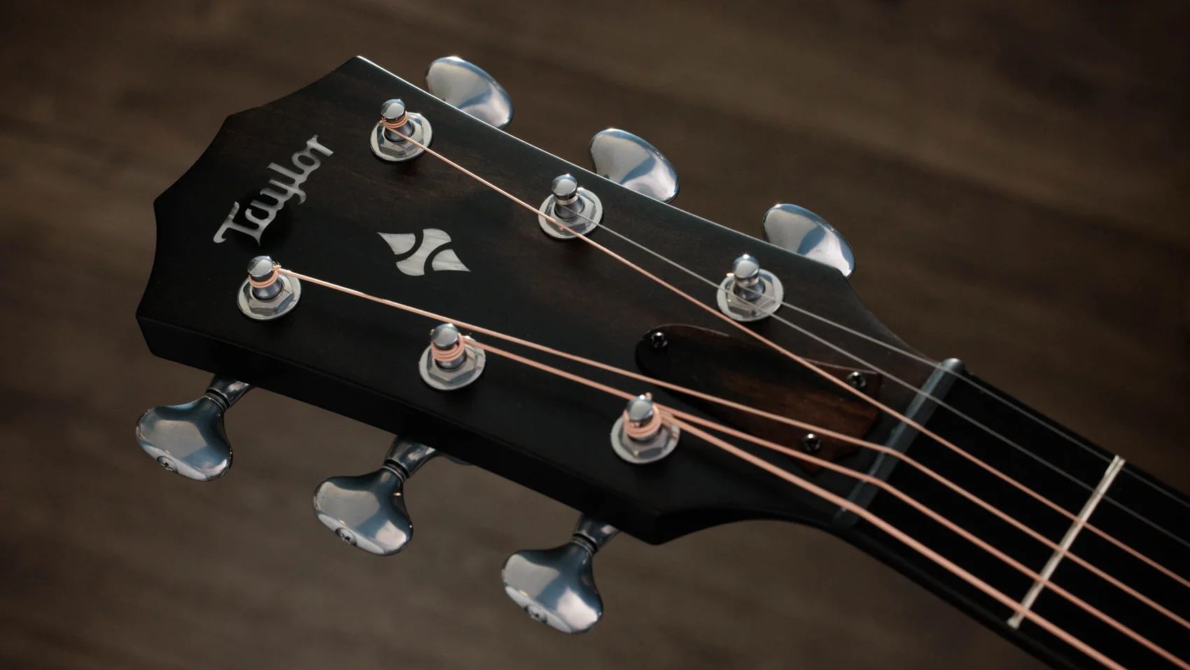 Taylor 524ce Builder's Edition Grand Auditorium  – Bild 10