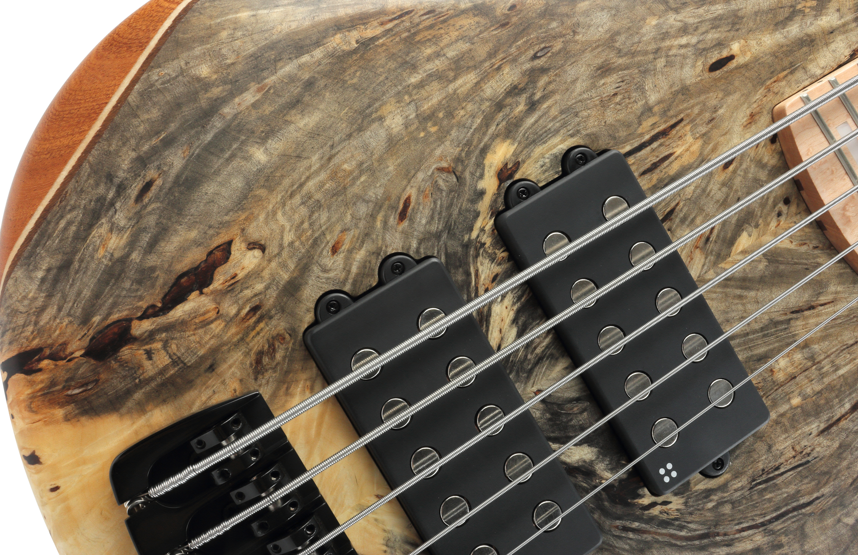 Sandberg Basic Ken Taylor 5 Buckeye Burl Birdseye / Maple FB – Bild 7
