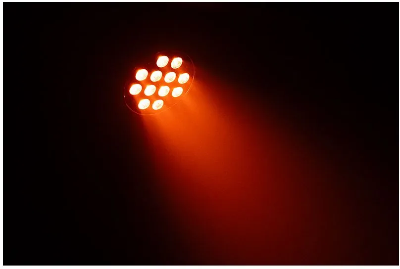 Eliminator Lighting LP Hex 12 Plus – Bild 6