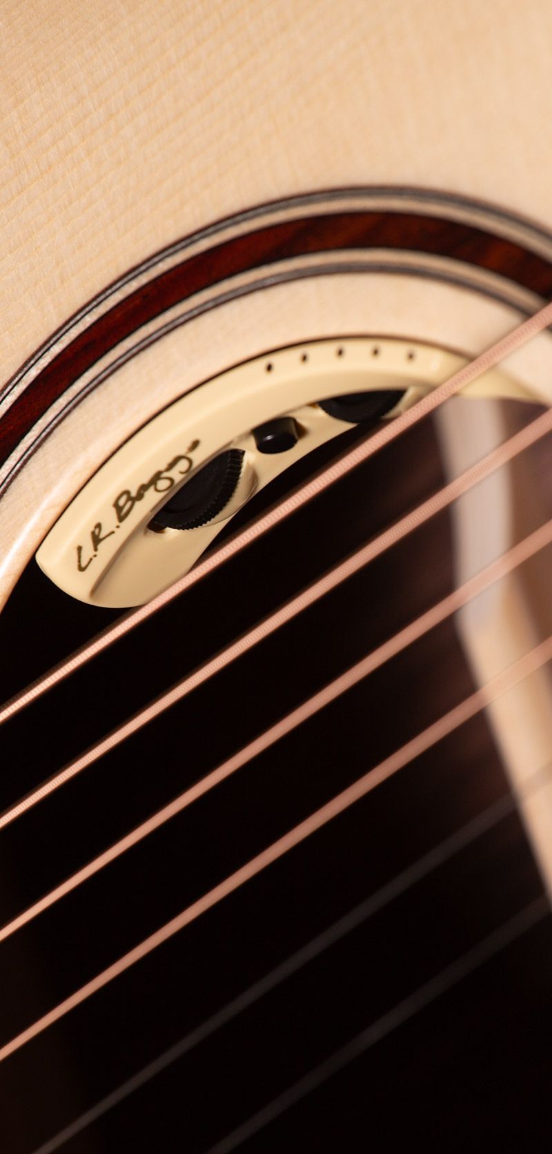 Lakewood M-31 CP