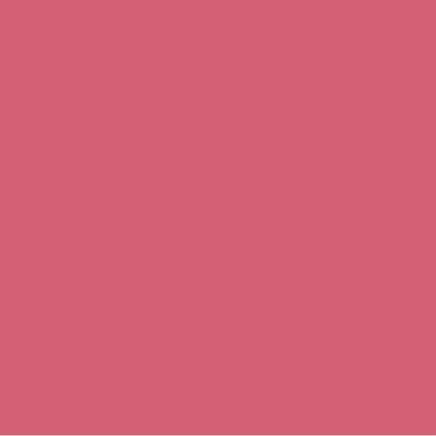 Rosco E-Col 128 Bright Pink 50x122cm