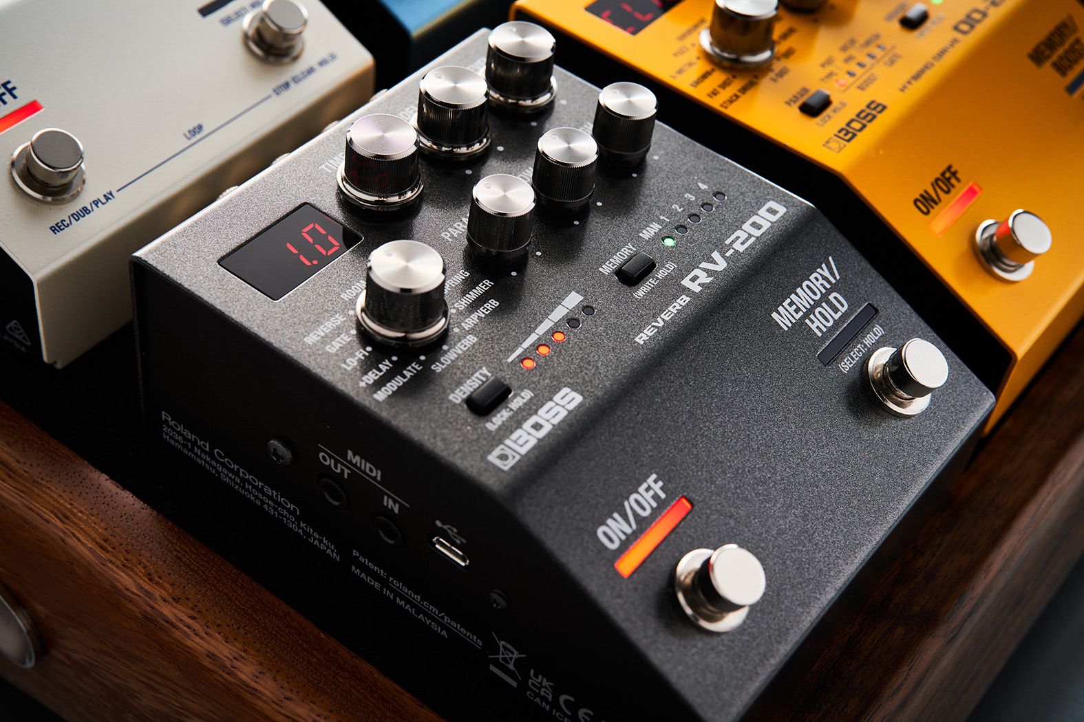 Boss RV-200