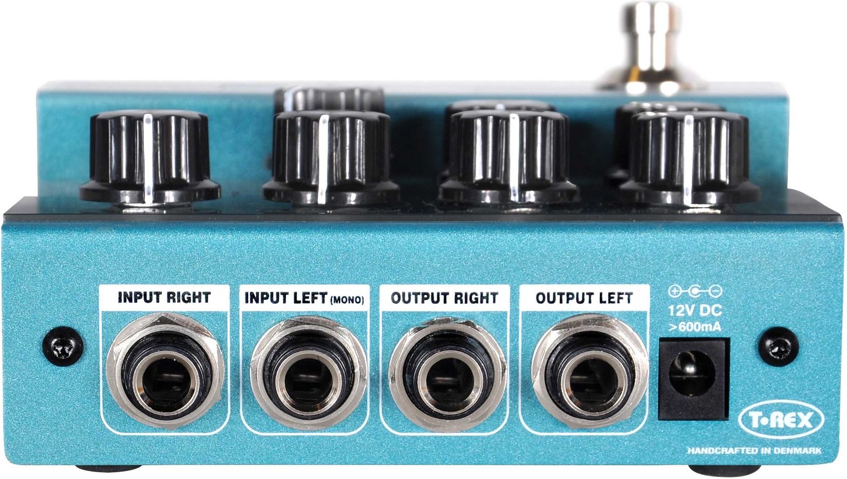 T-Rex RoomMate – Bild 3