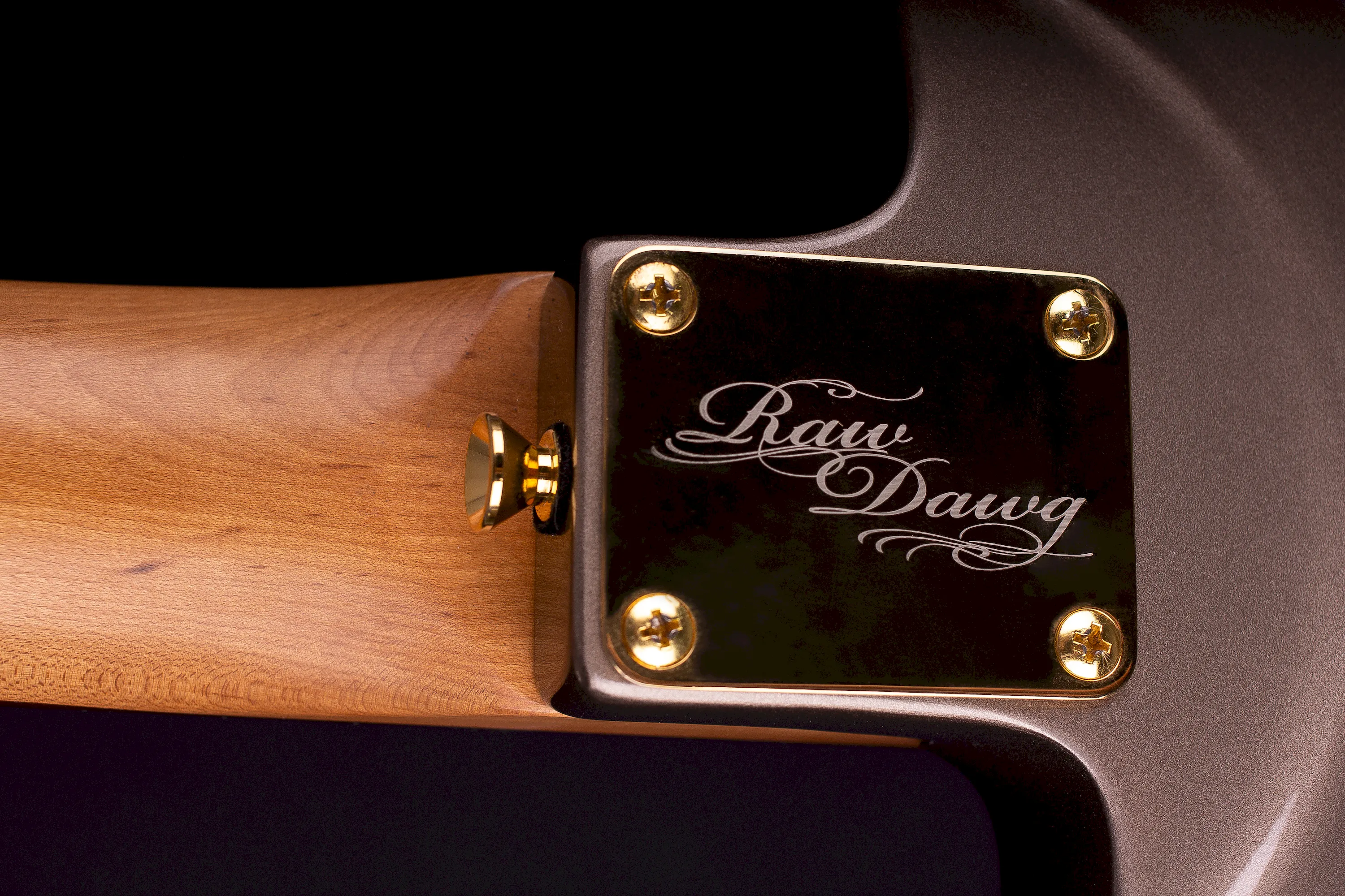 Magneto Eric Gales RD3 Signature Sunset Gold – Bild 6