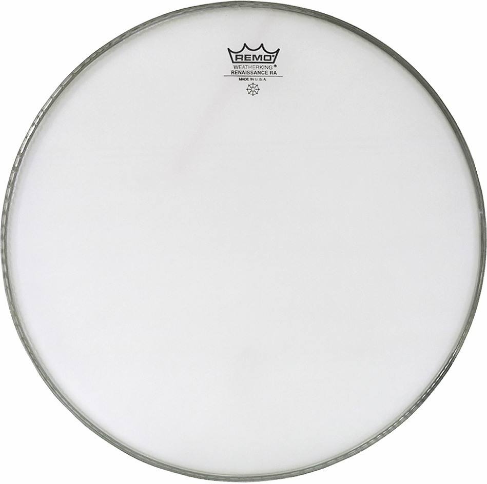 Remo Renaissance Ambassador 14