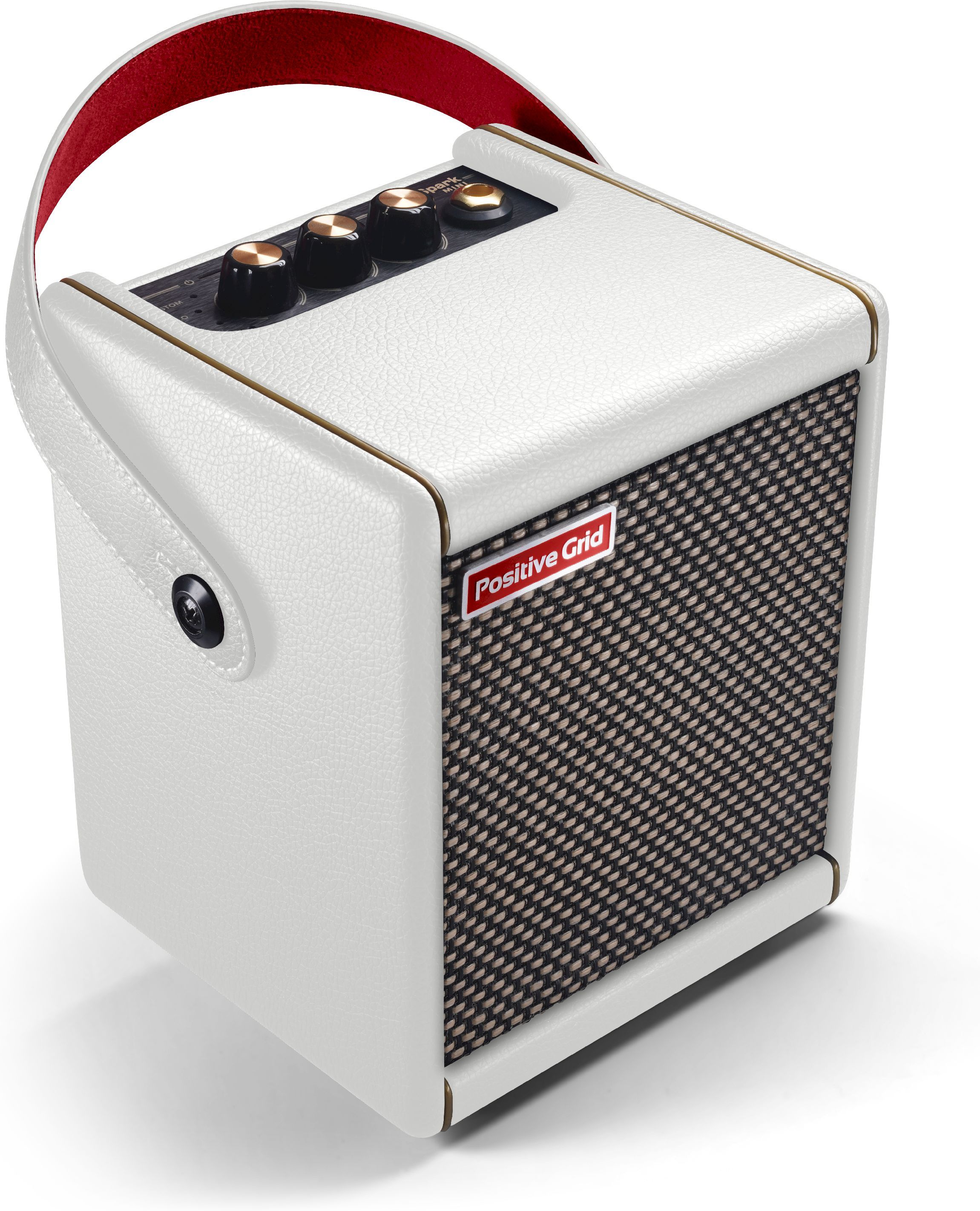 Positive Grid Spark MINI PW CAB Bundle