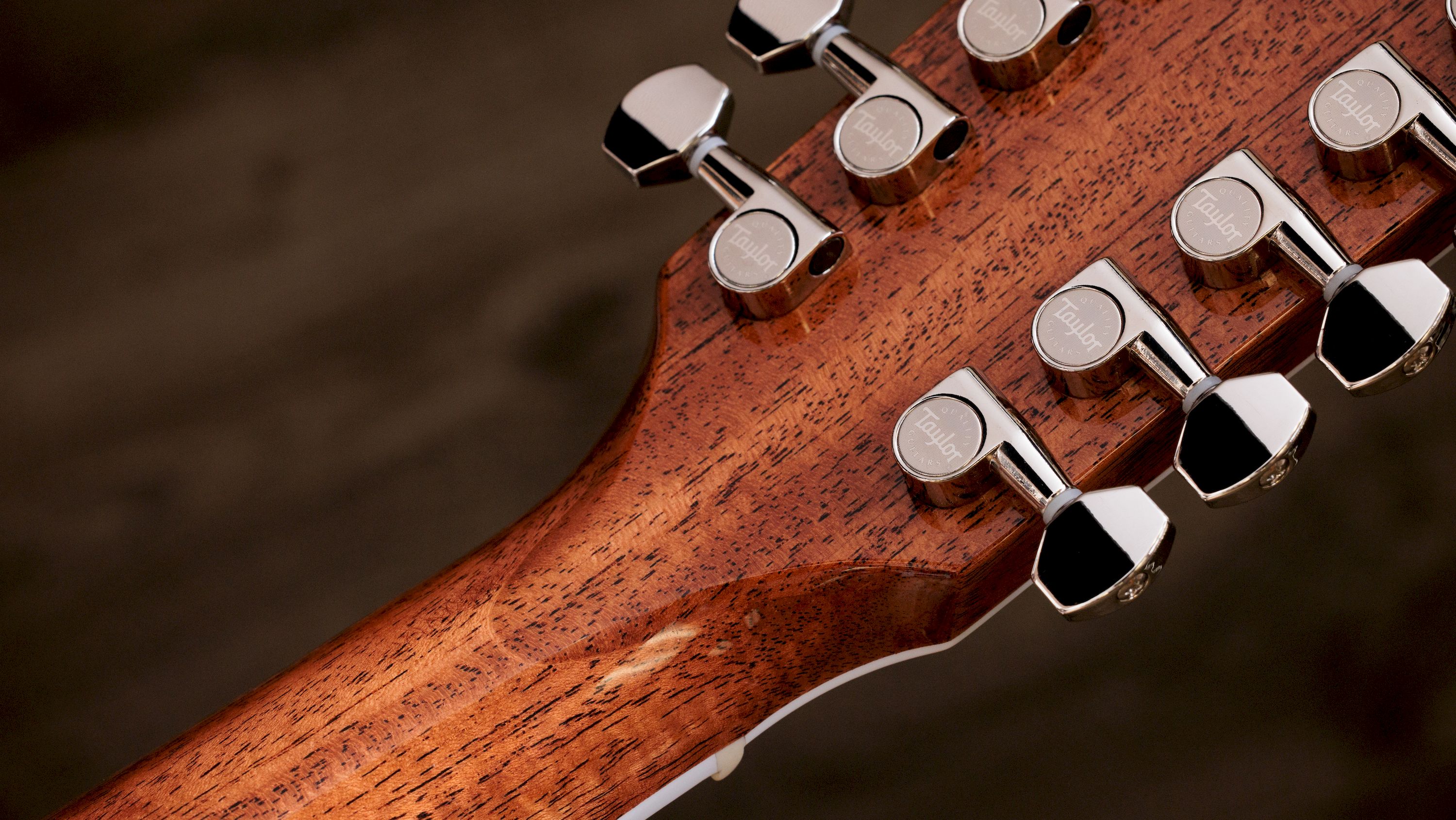Taylor Legacy 855e 12-string – Bild 9