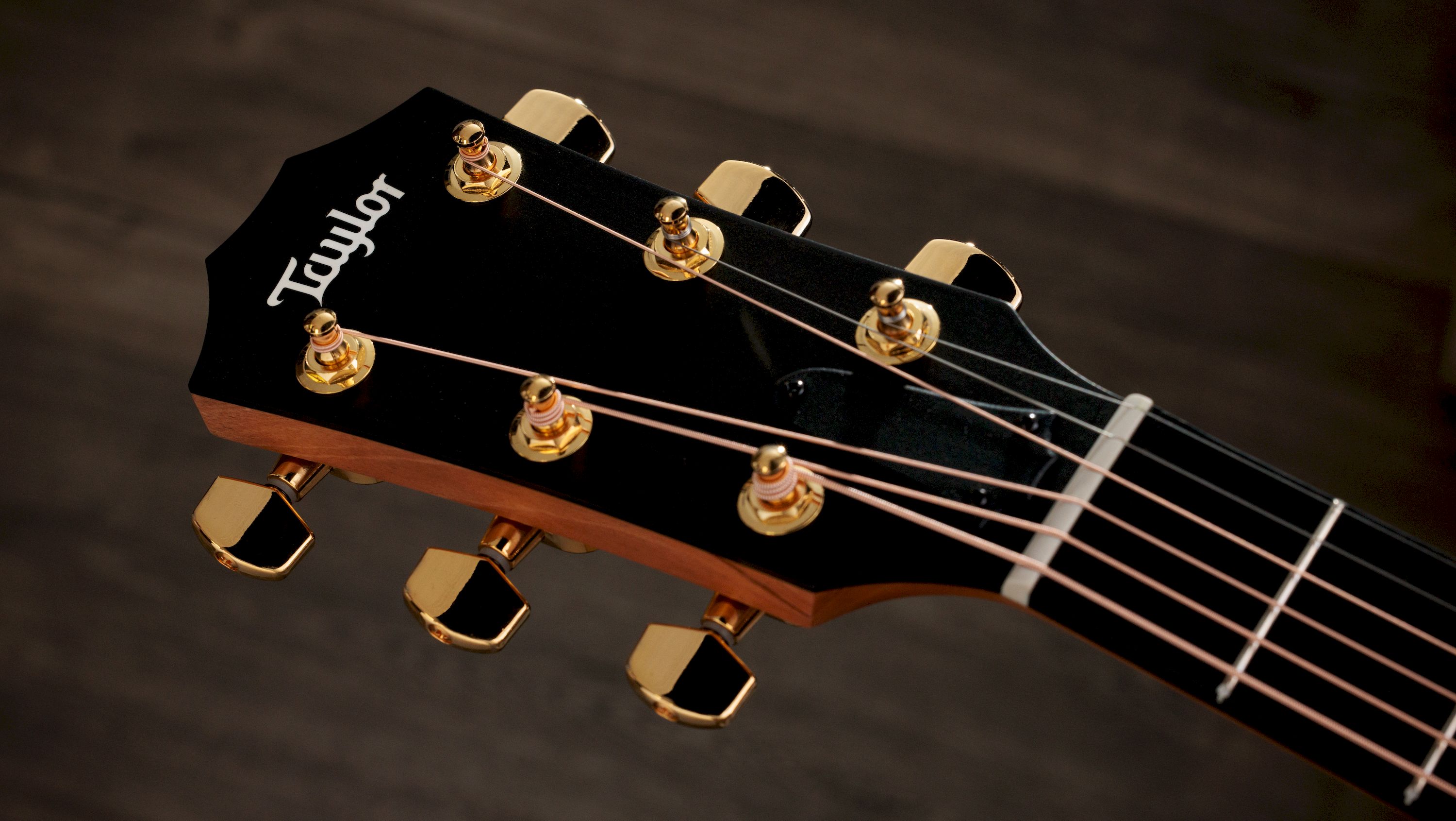 Taylor 214ce K DLX – Bild 8