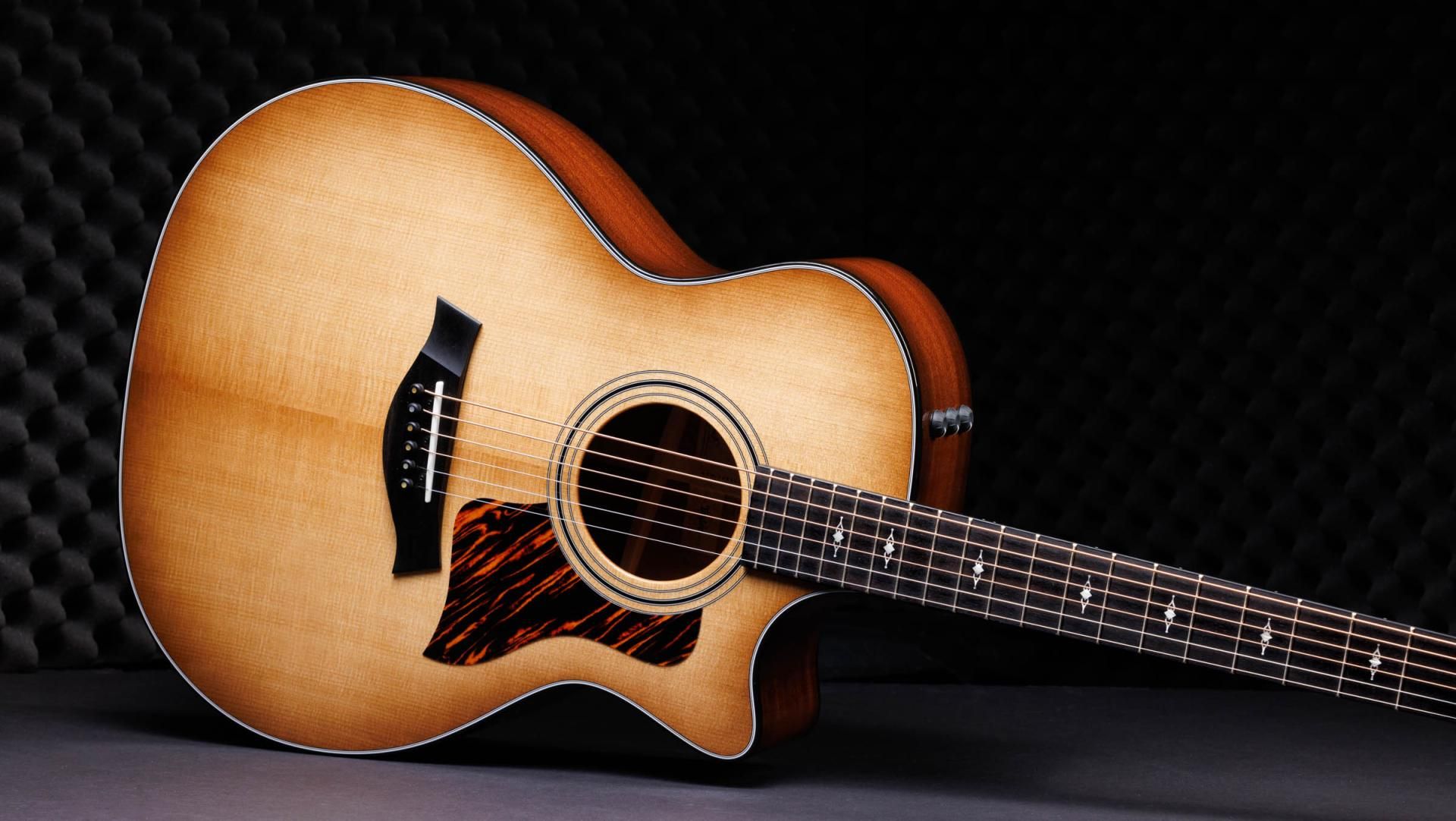 Taylor 50th Anniversary 314ce