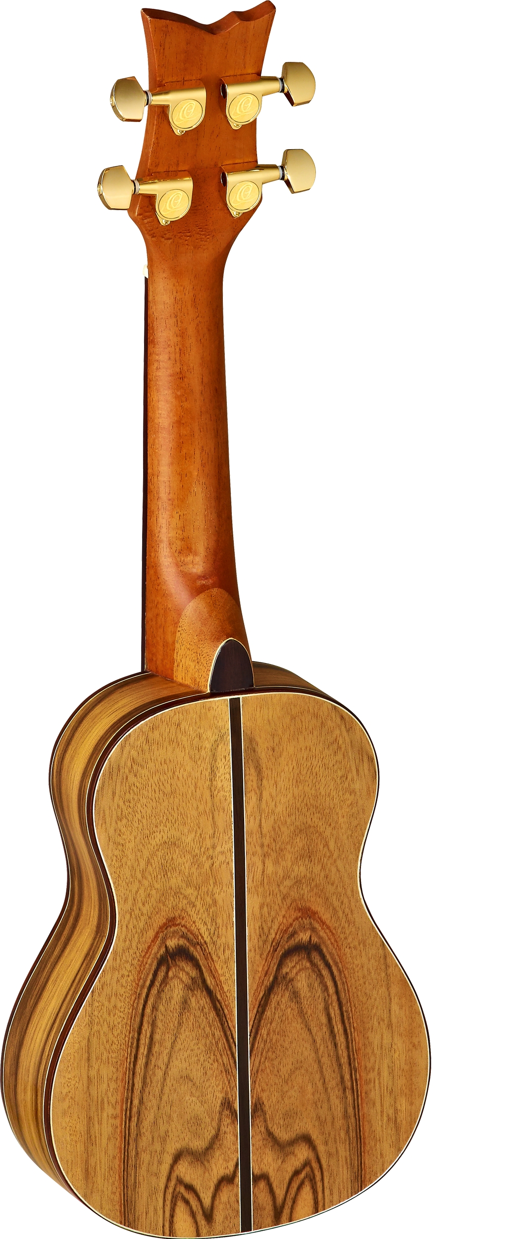 Ortega LIZARD CC-GB Konzert Ukulele – Bild 2