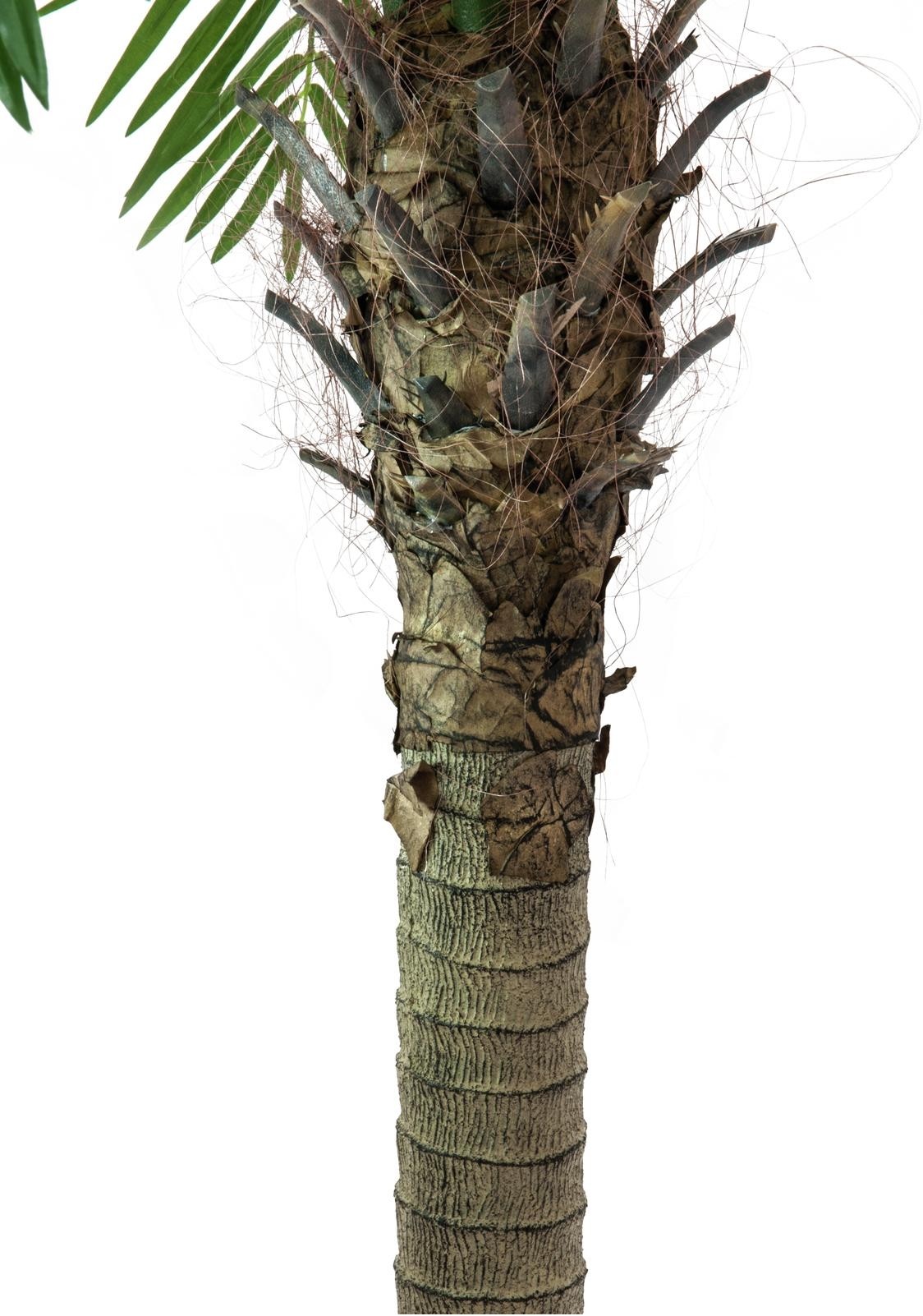 Europalms Phönixpalme luxor, Kunstpflanze, 150cm