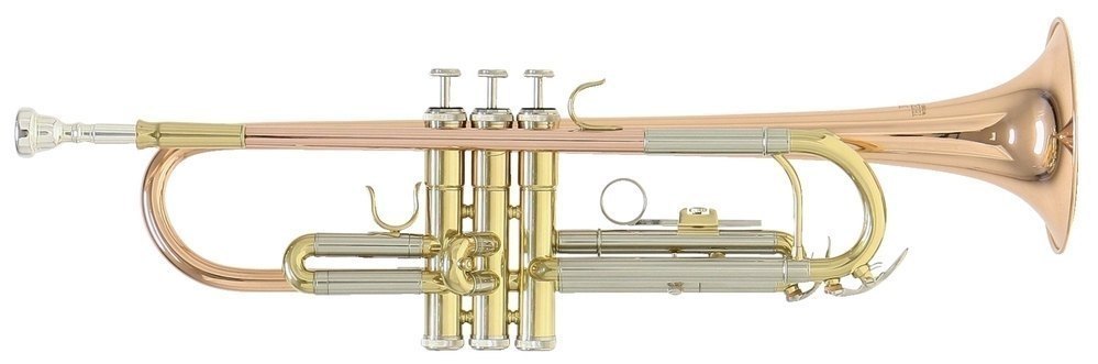 Roy Benson TR-202  Roy Benson TR-202