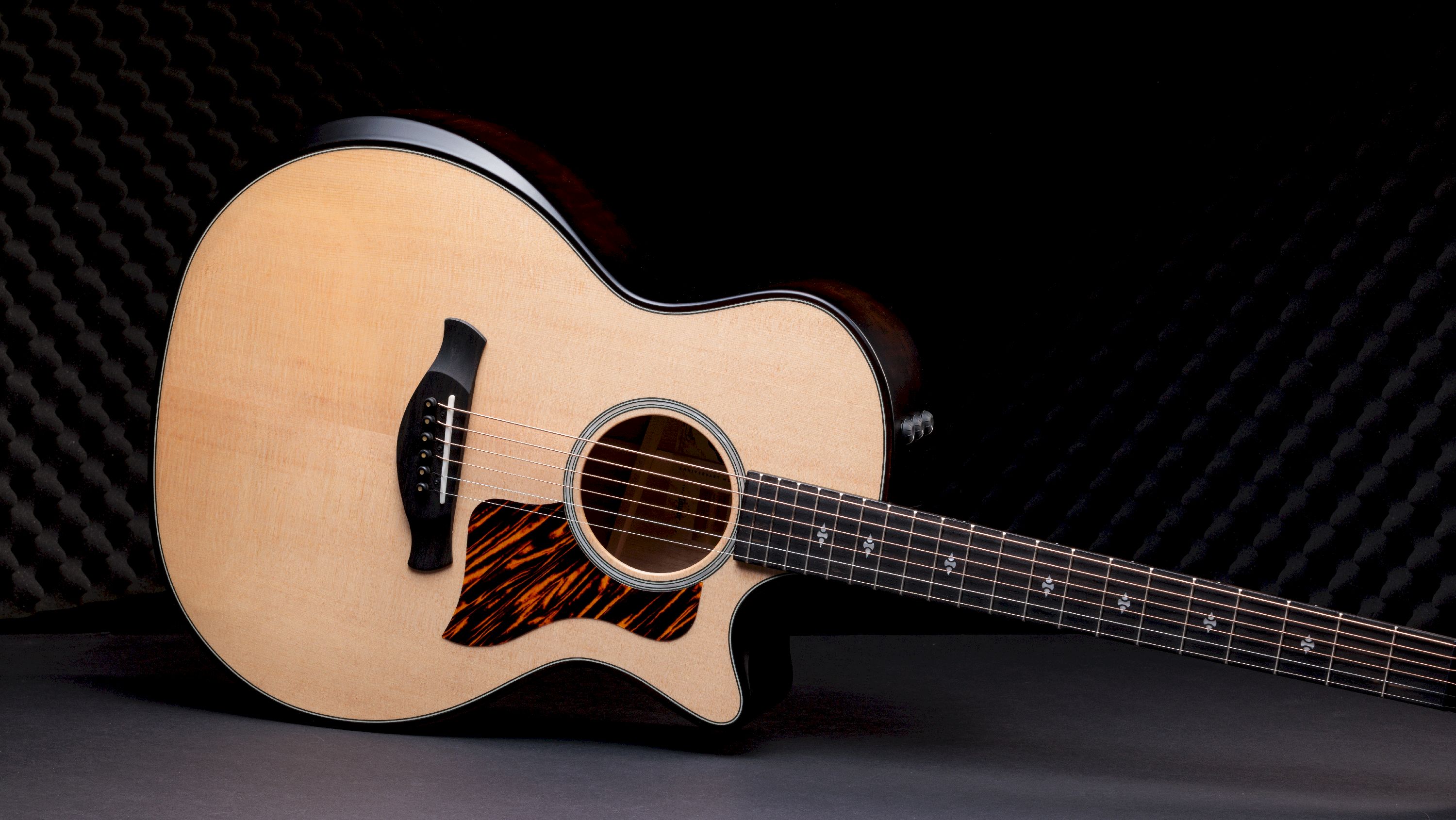 Taylor 314ce Builder’s Edition LTD Natural Top Taylor 314ce Builder’s Edition LTD Natural Top