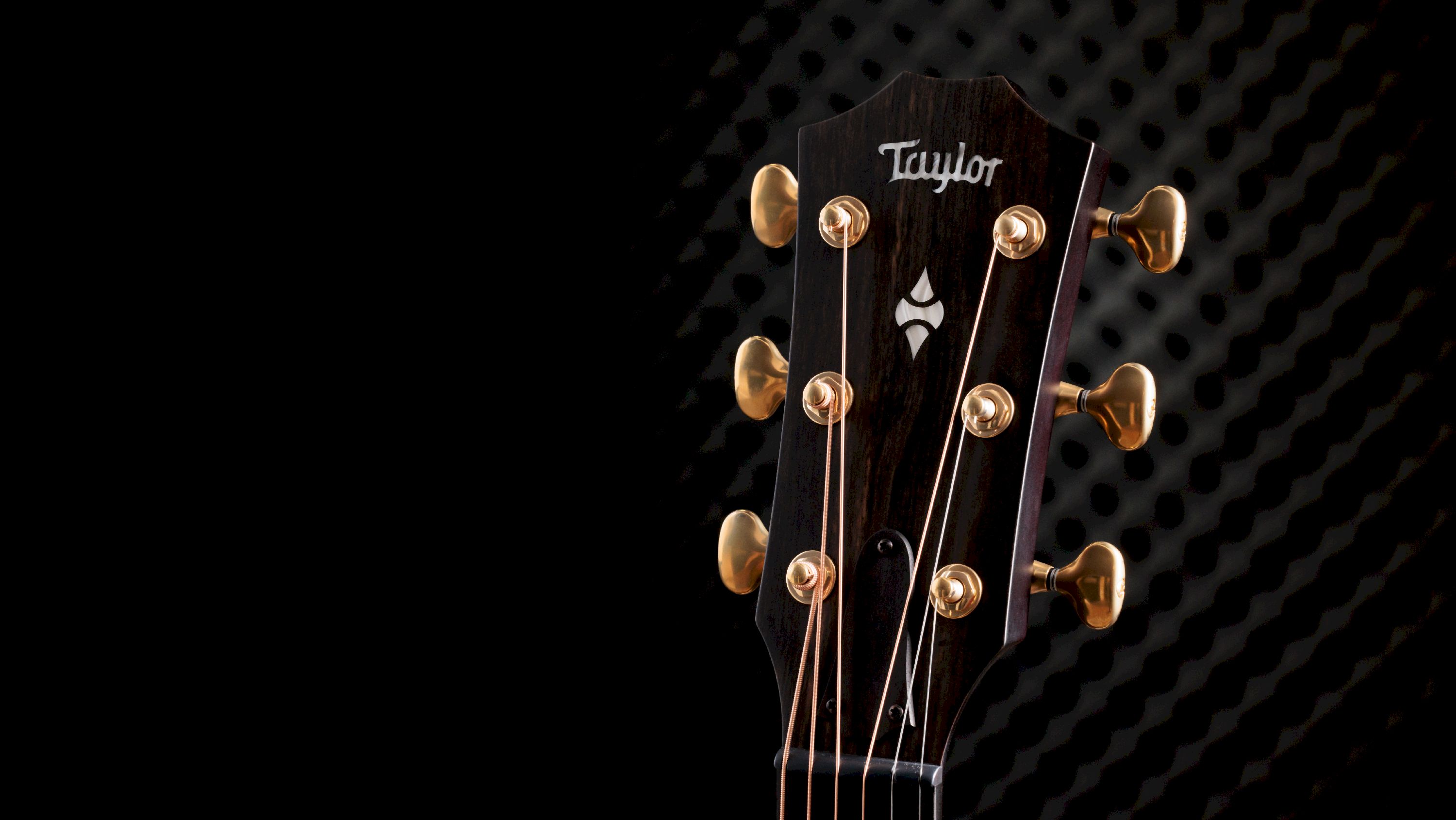 Taylor 314ce Builder’s Edition LTD Natural Top (Retoure) – Bild 7