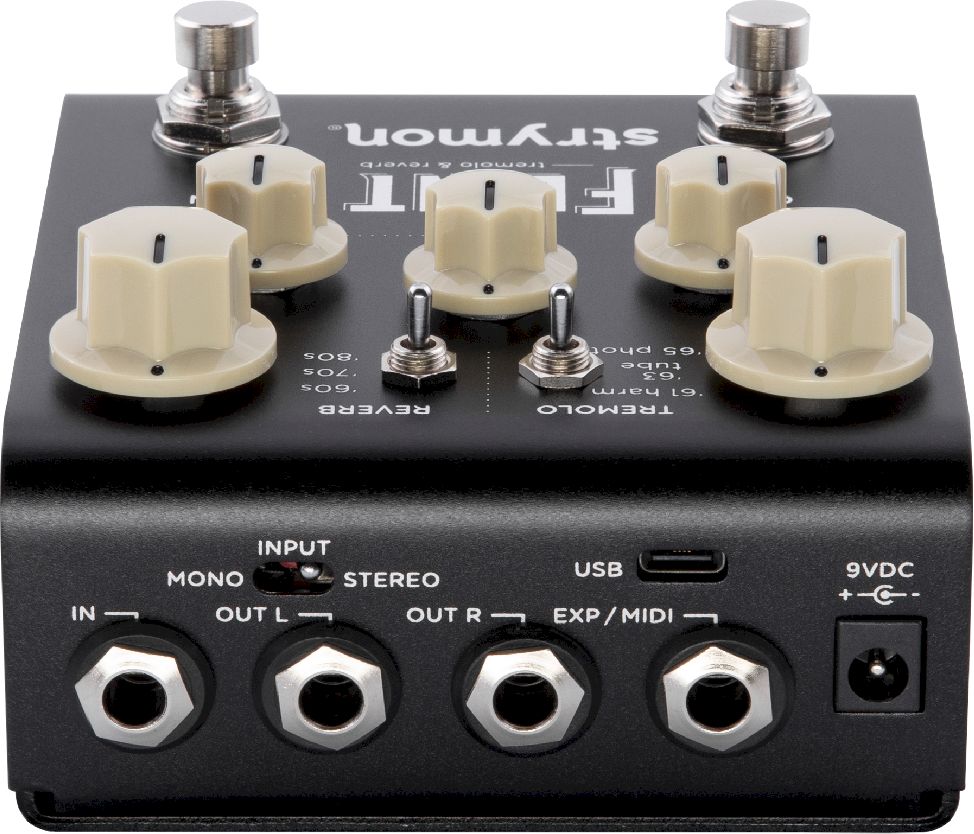 Strymon Flint V2