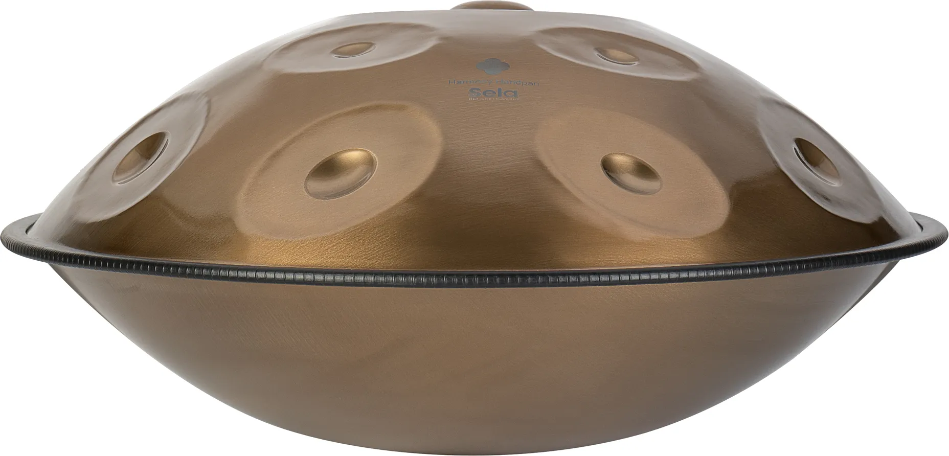 Sela SEHP201 Harmony Handpan D Kurd 13 Töne 440Hz – Bild 3