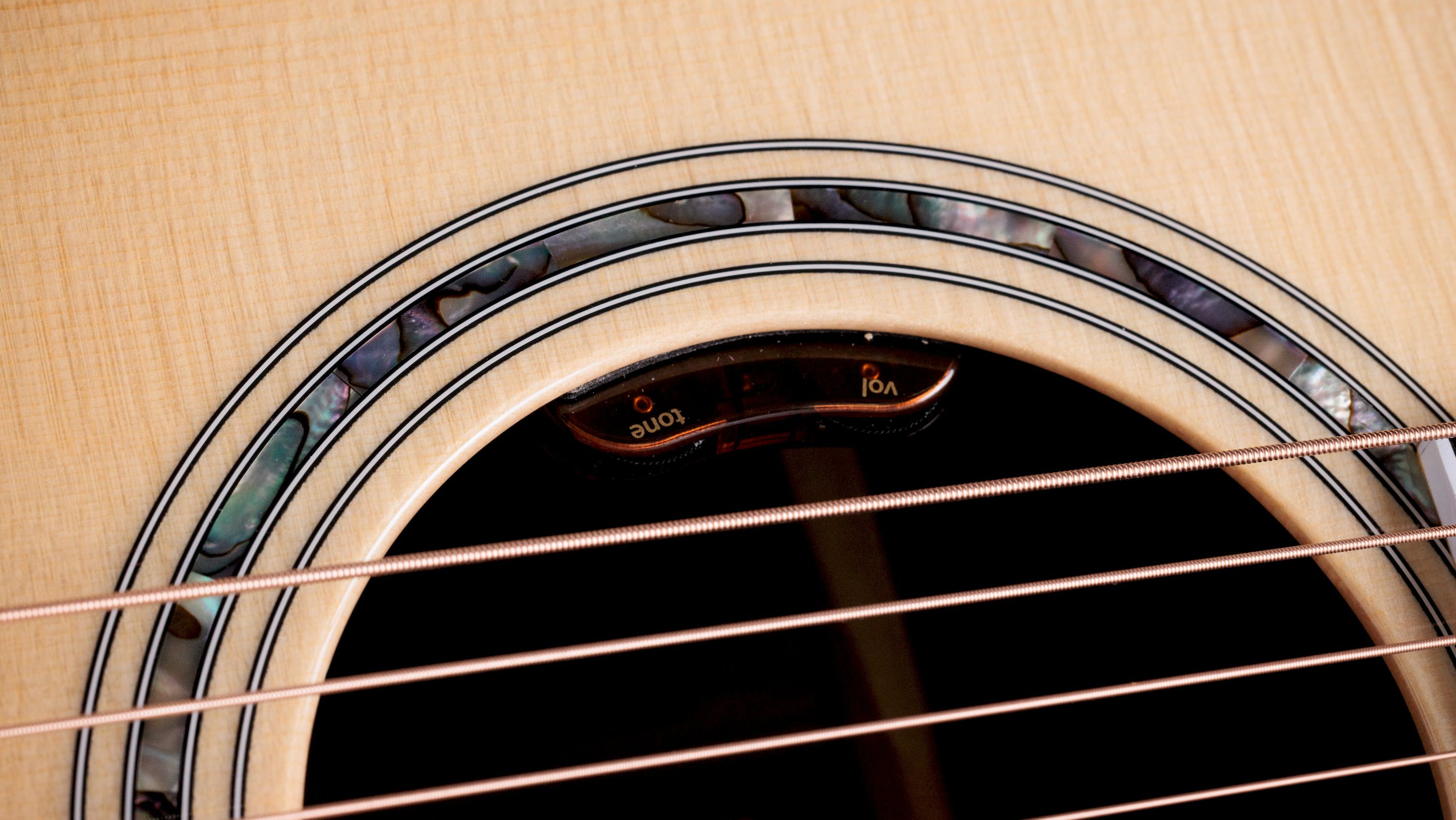 Taylor Legacy 815e – Bild 5