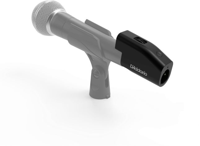 D Addario PW-IRMM-01 – Bild 2