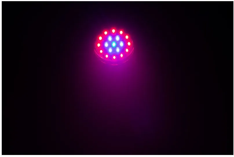 Eliminator Lighting Mega Par Z Wash – Bild 7