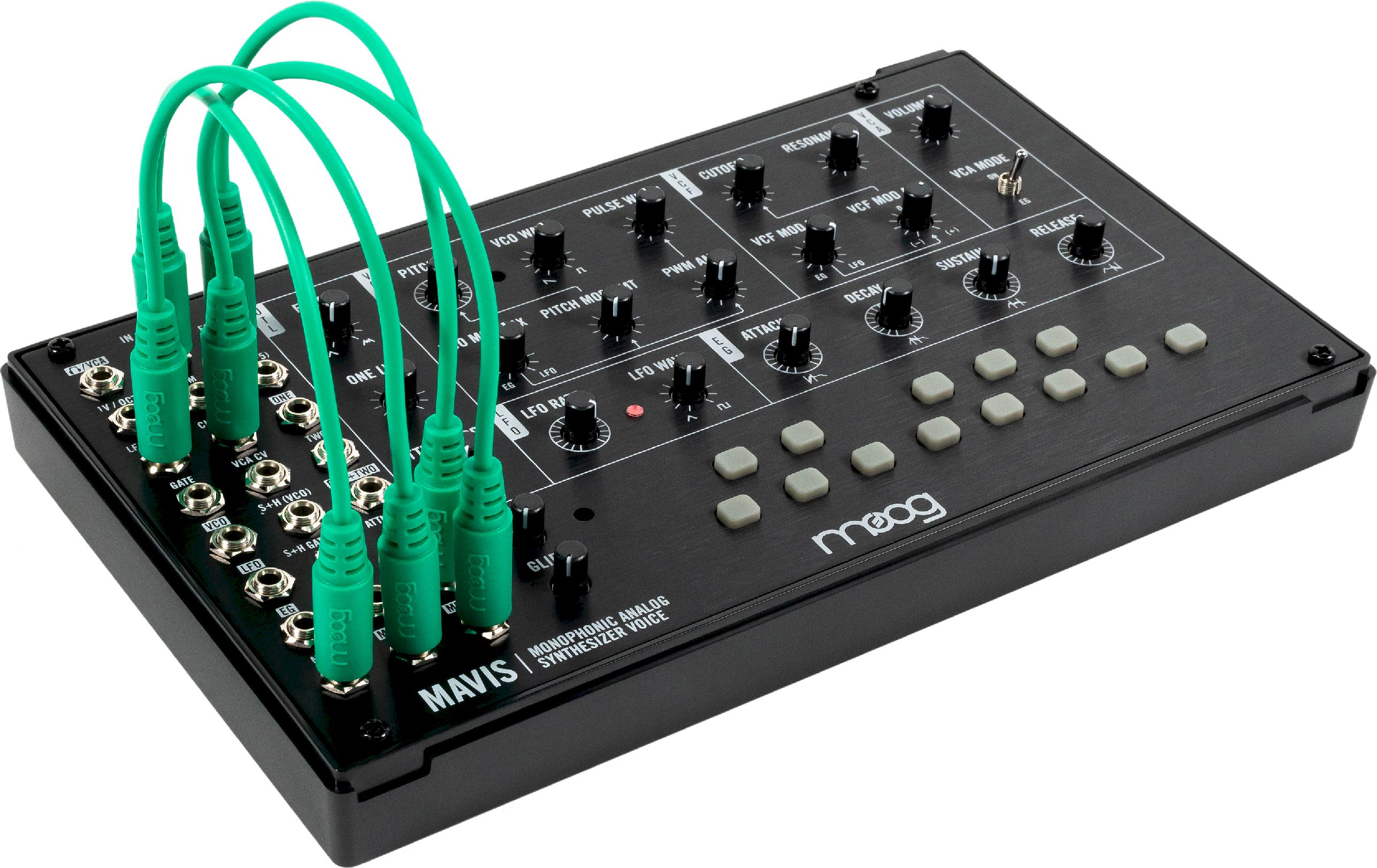Moog Mavis Moog Mavis