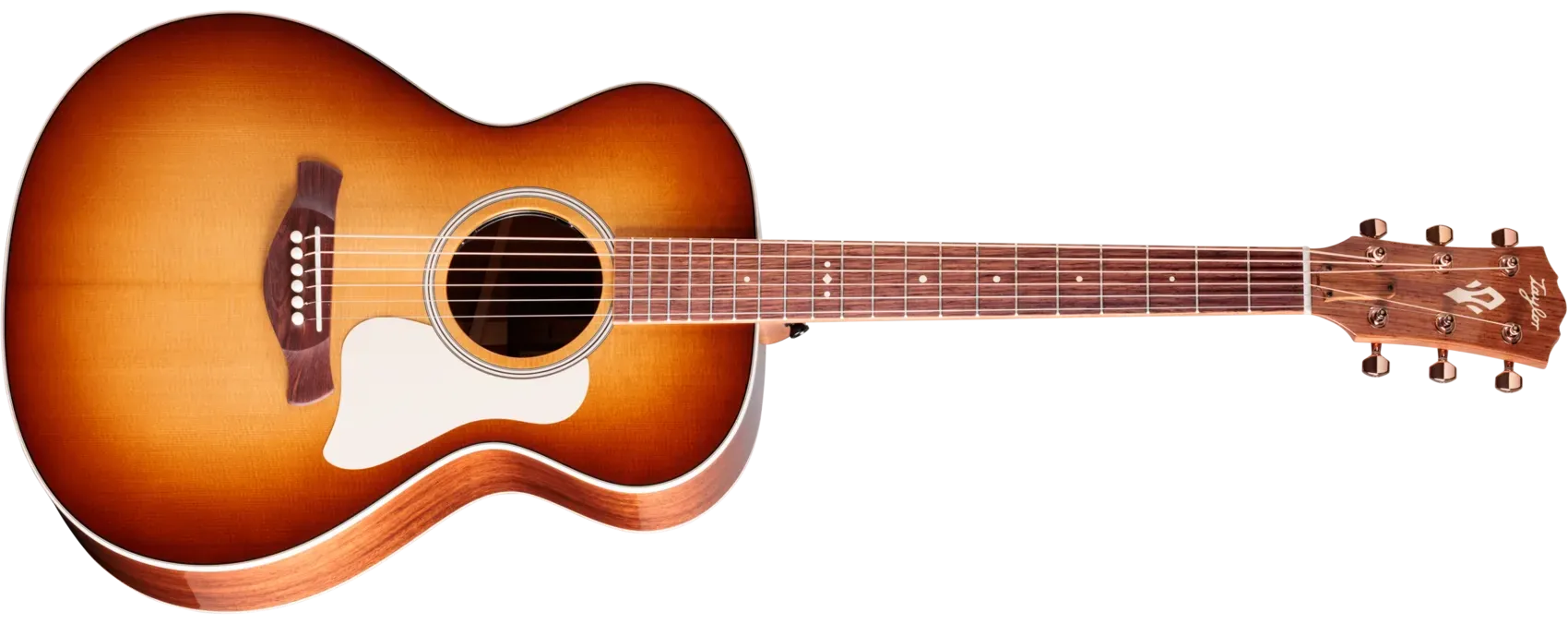 Taylor Gold Label 512e Ben Harper Grand Concert Fichte/Mahagoni