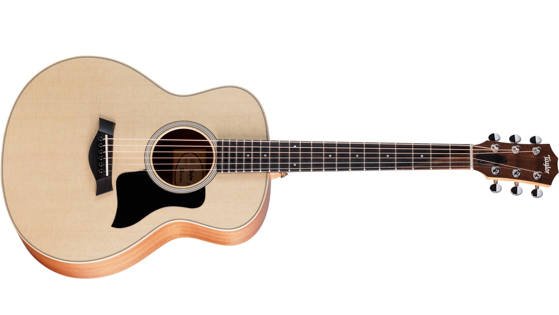 Taylor GS Mini Sapele Taylor GS Mini Sapele