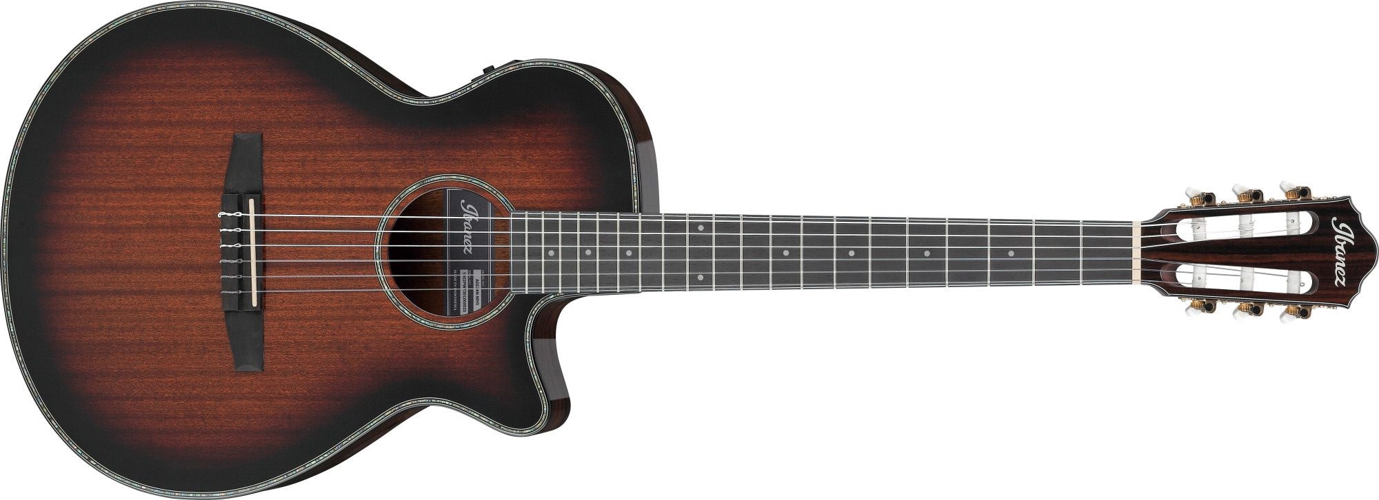 Ibanez AEG74N-MHS