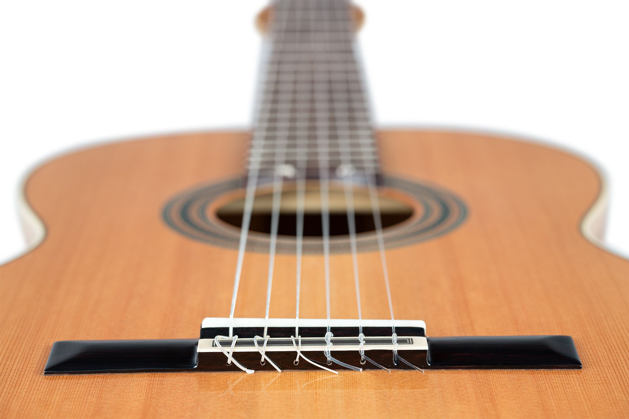 Ortega R20GSNRG Traditional Series 4/4  – Bild 8