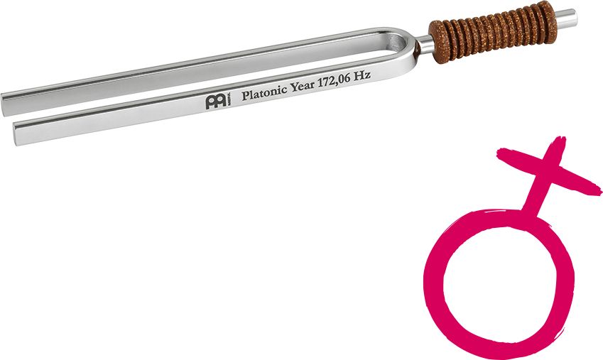 Meinl Sonic Energy TF-E-PL Stimmgabel - Platonisches Jahr 172.06Hz – Bild 2