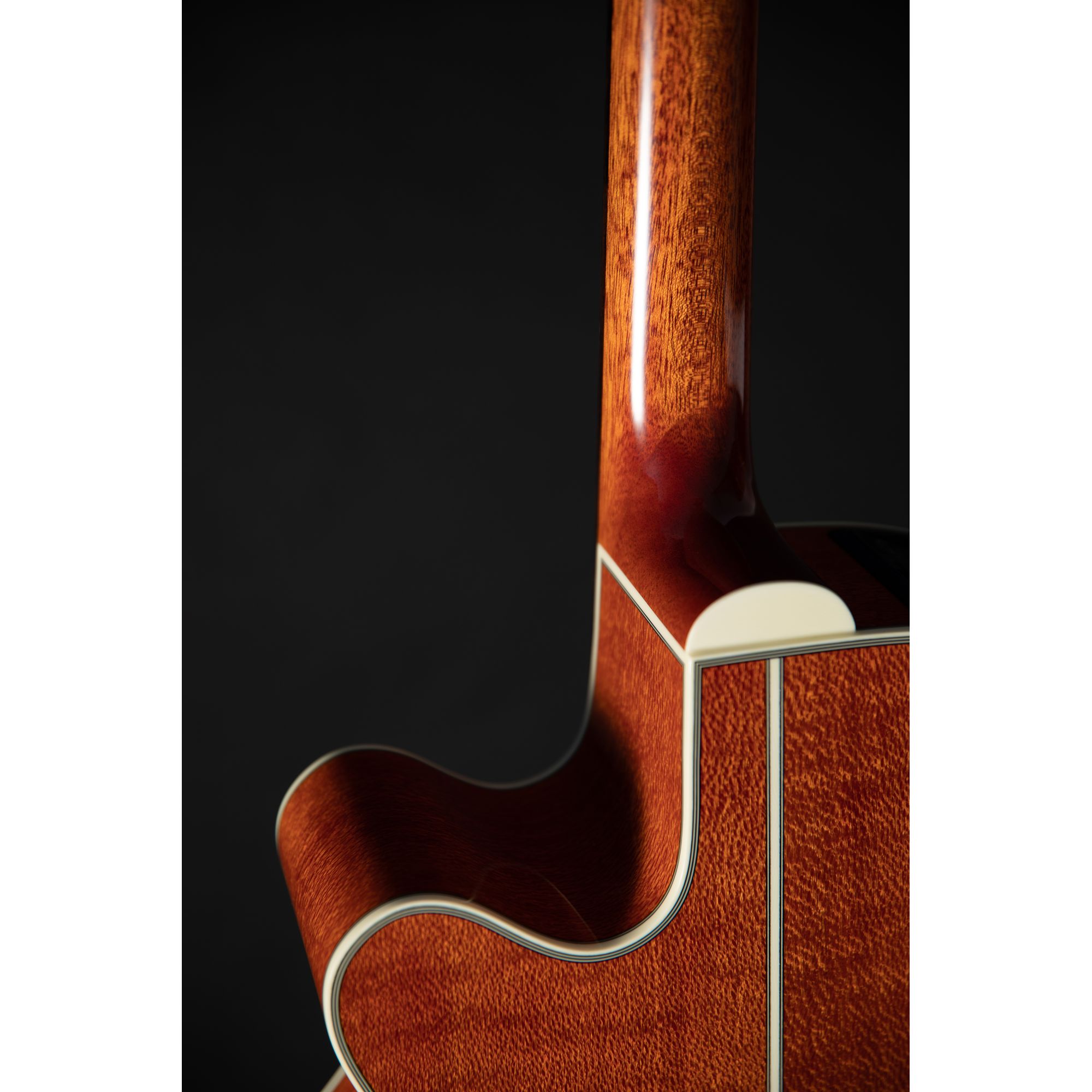 Takamine Santa Fé Limited 2023 Takamine Santa Fé Limited 2023