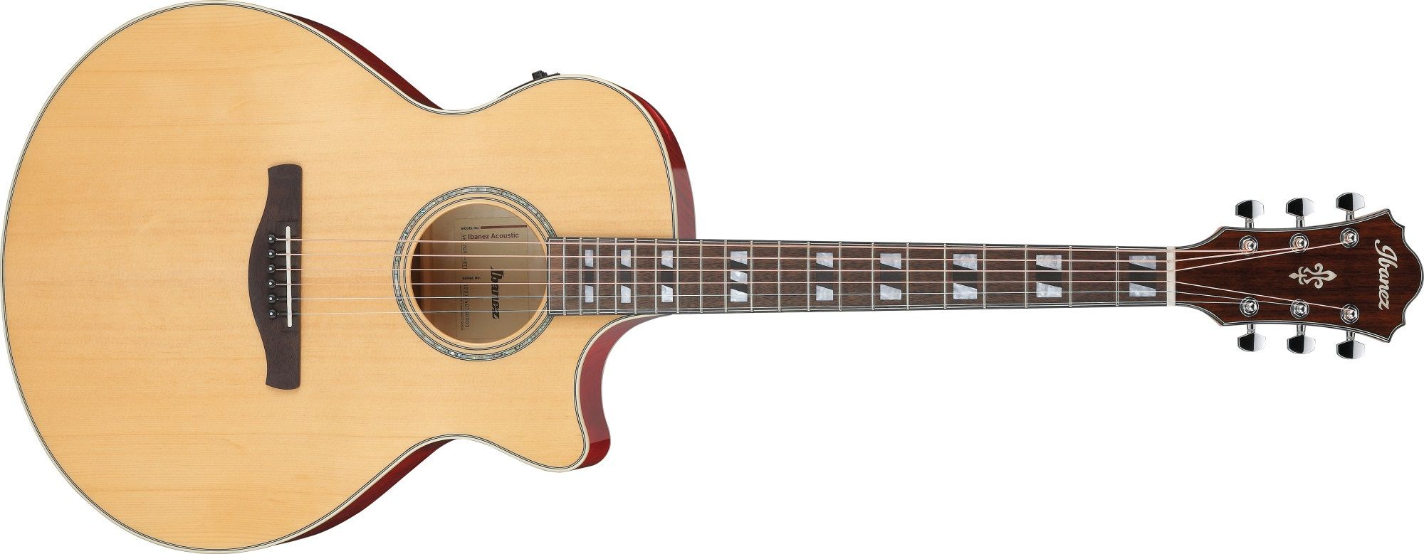 Ibanez AE 170-NTR 