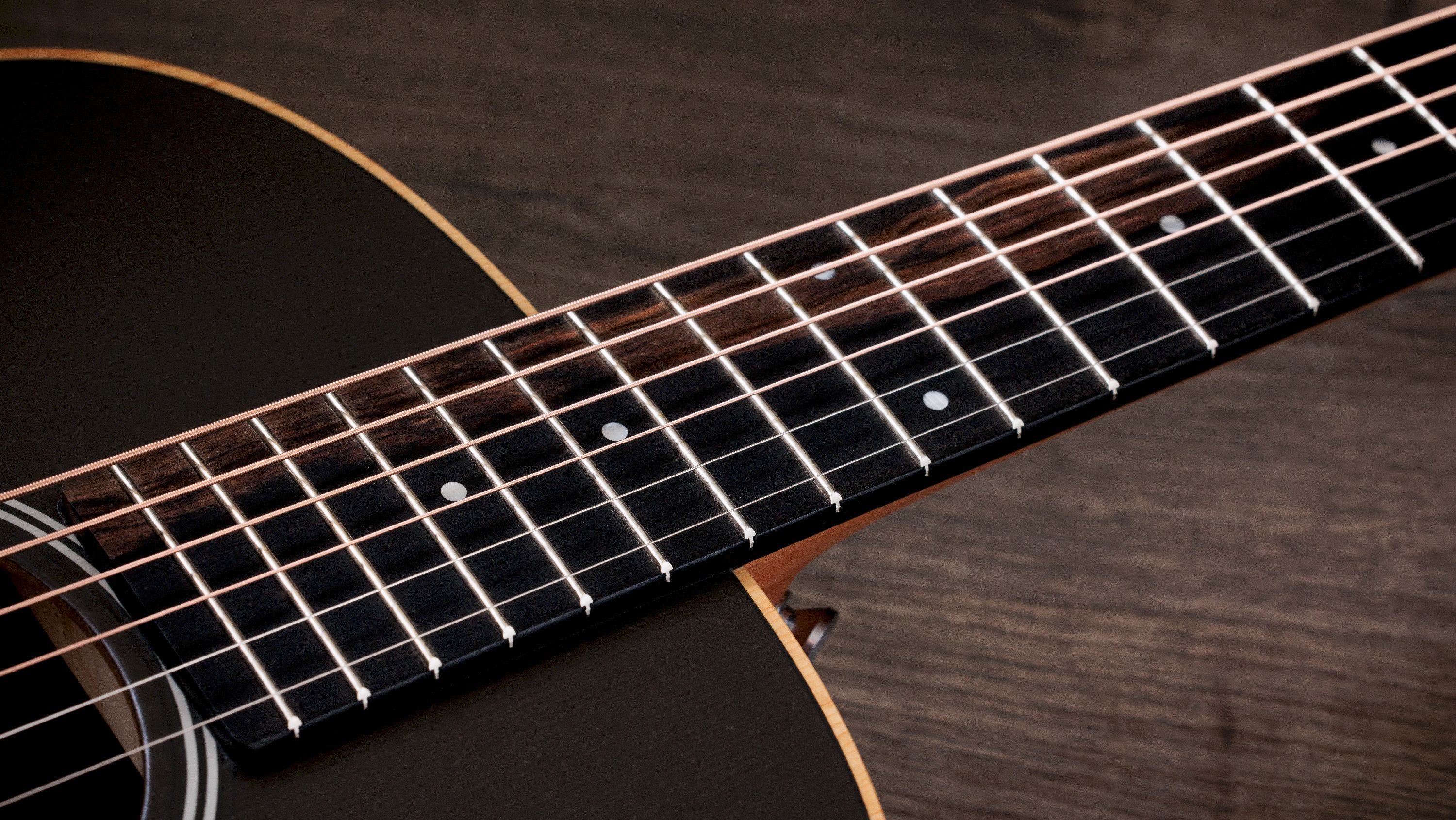 Taylor GS Mini-e Trans Black Special Edition  – Bild 5