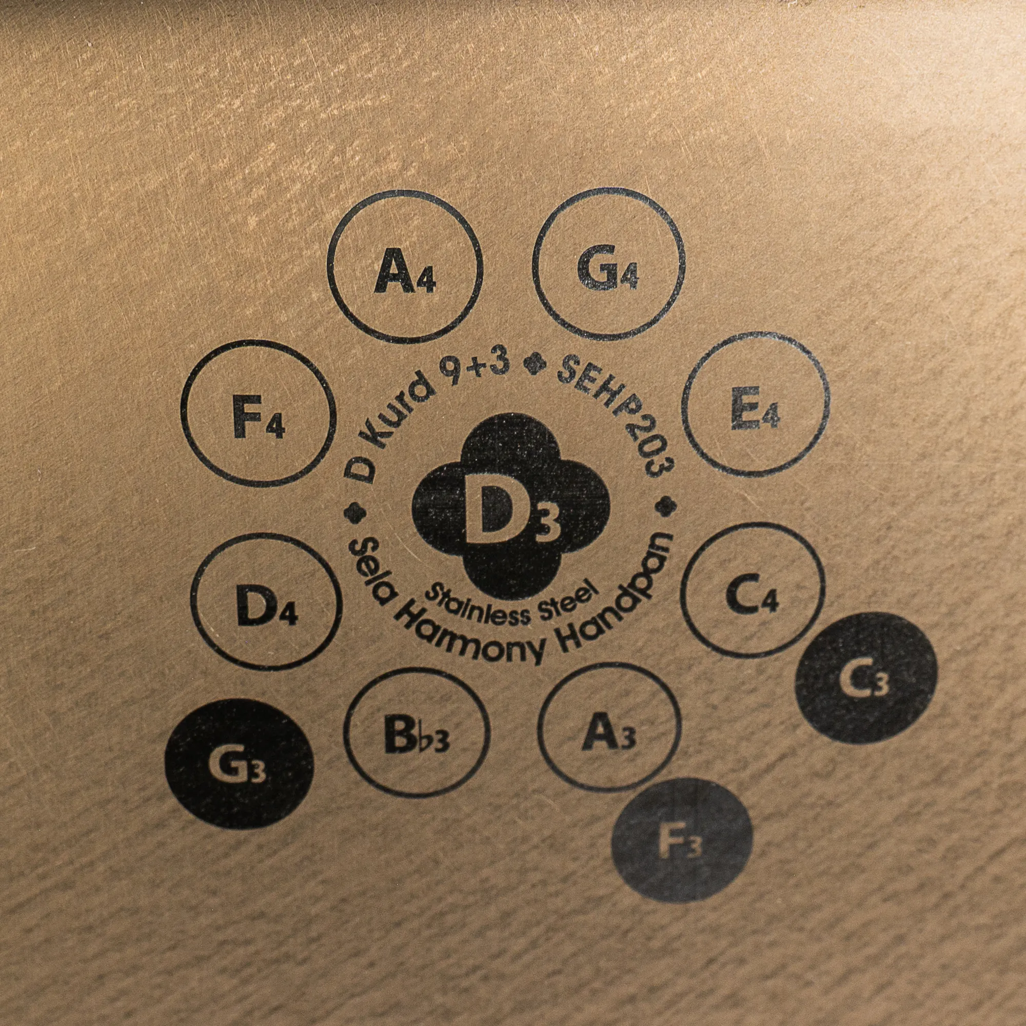 Sela SEHP203 Harmony Handpan D Kurd 12 Töne 440Hz – Bild 5