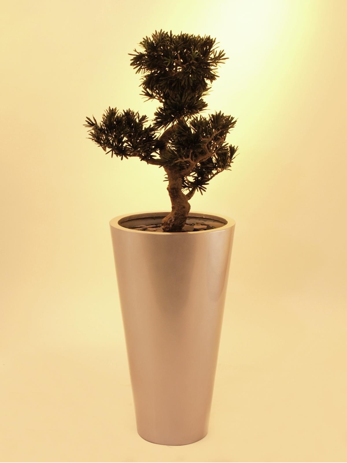 Europalms Bonsai Podocarpus, Kunstpflanze, 80cm