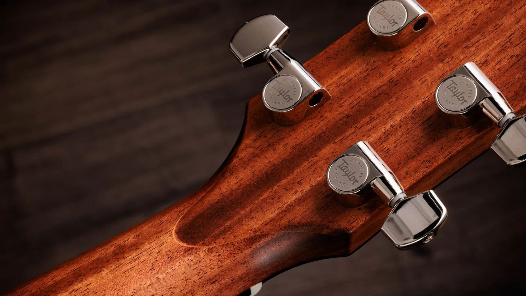 Taylor Gold Label 514e Fichte/Mahagoni – Bild 11